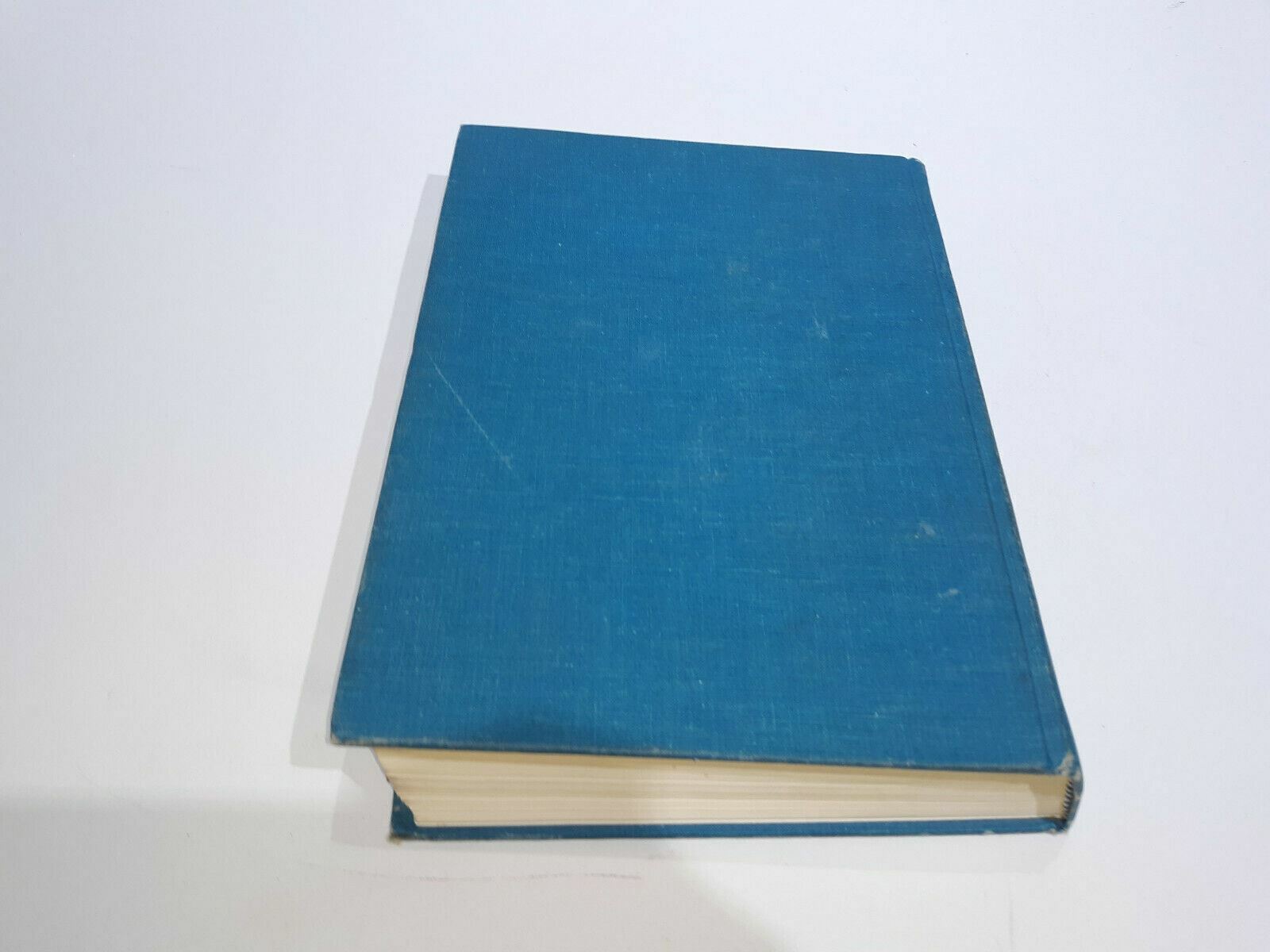 Image #7