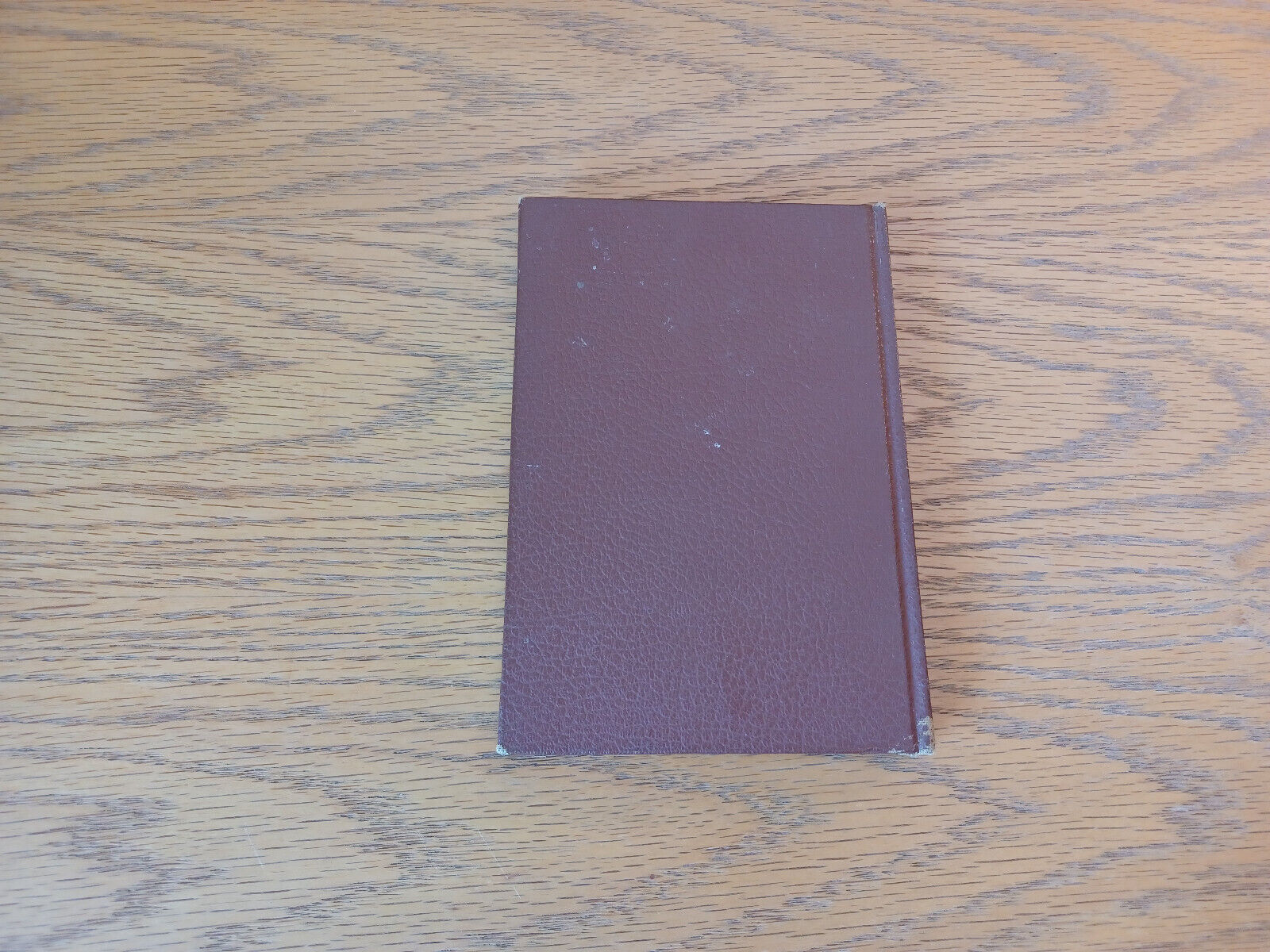 Image #6