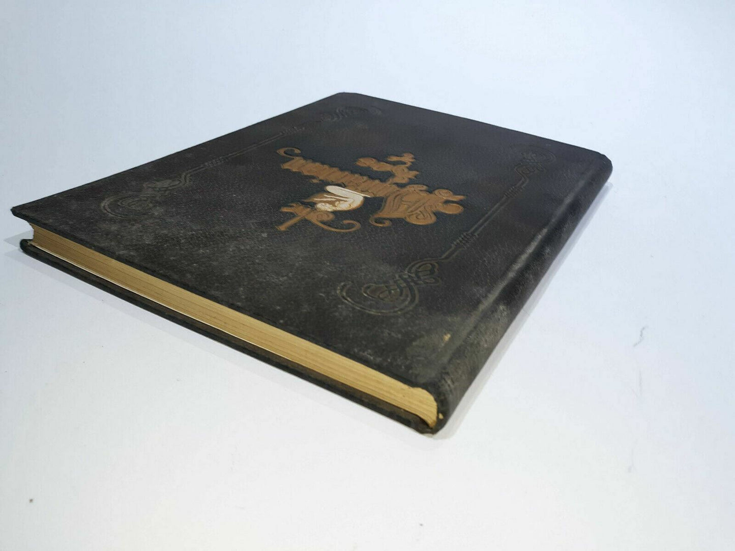 Image #6
