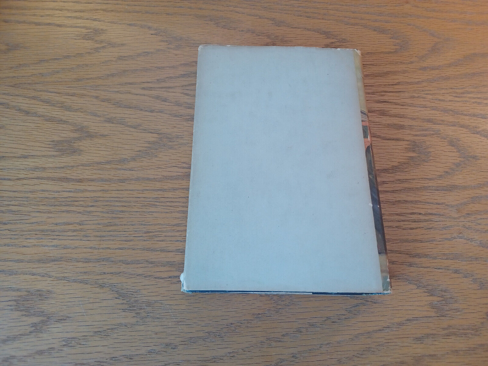 Image #6