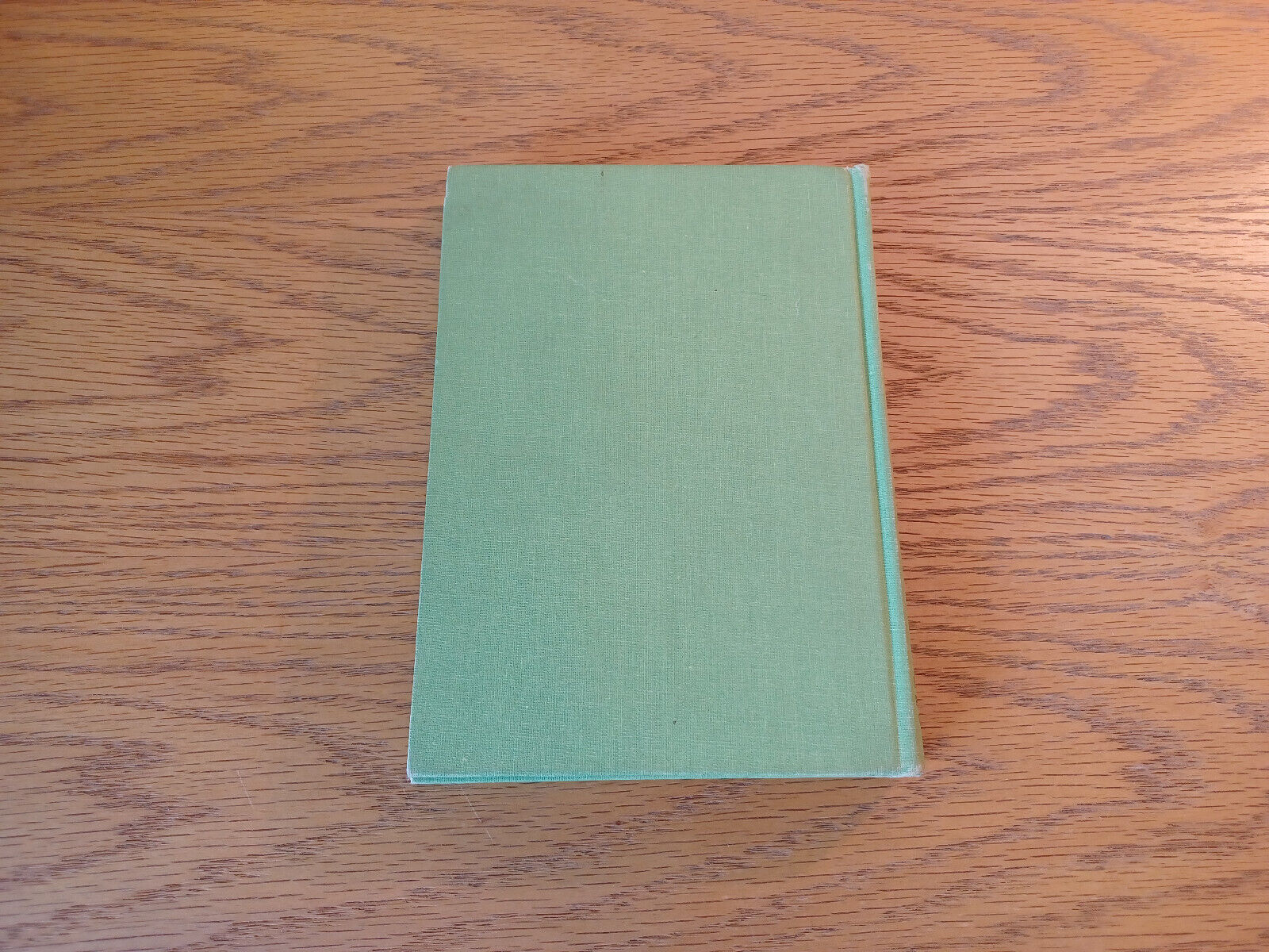 Image #6