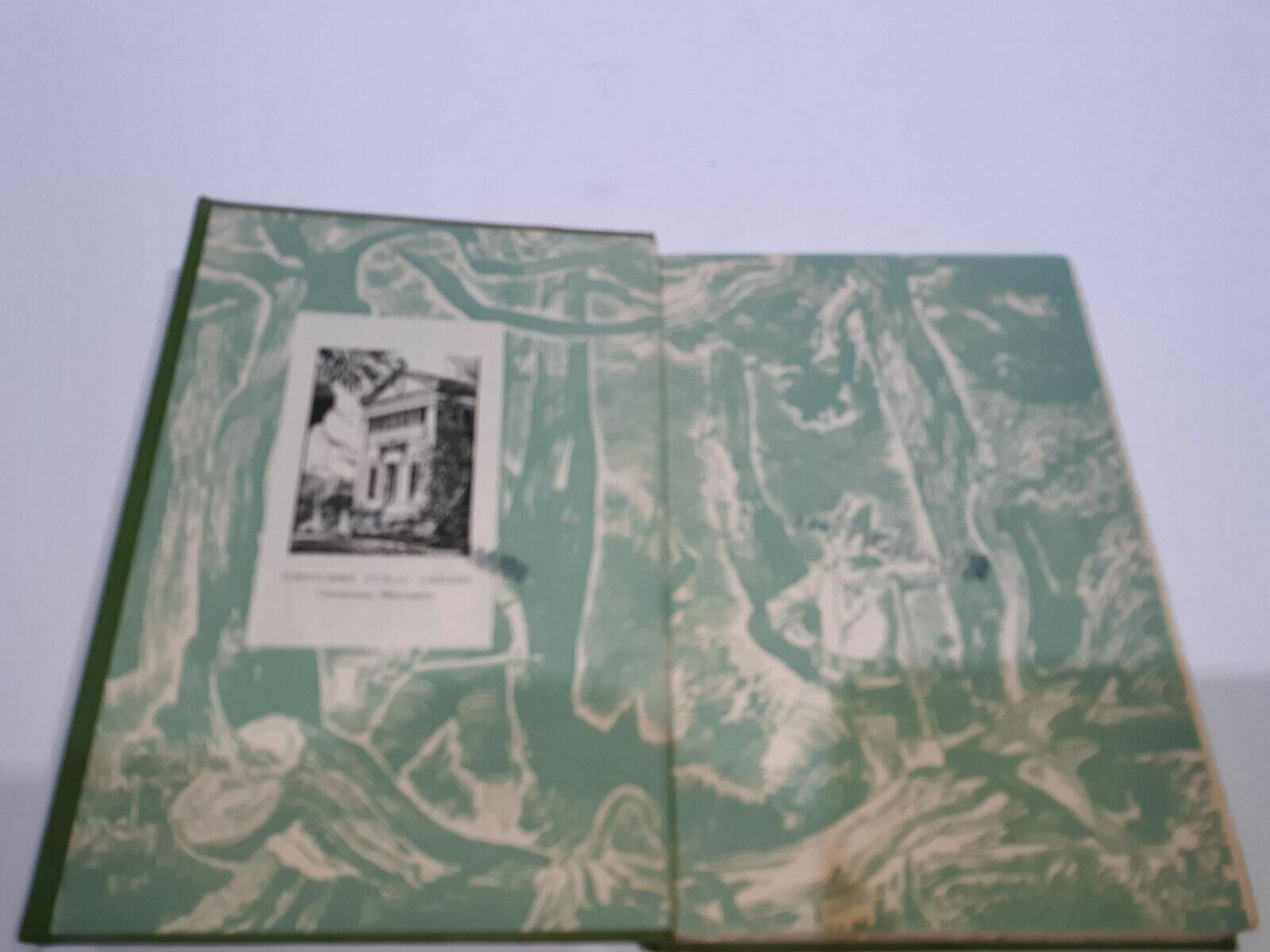 Image #8