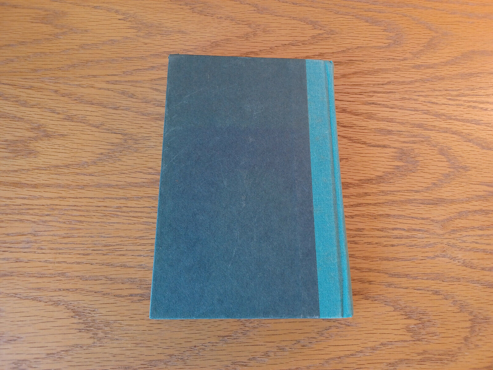 Image #6