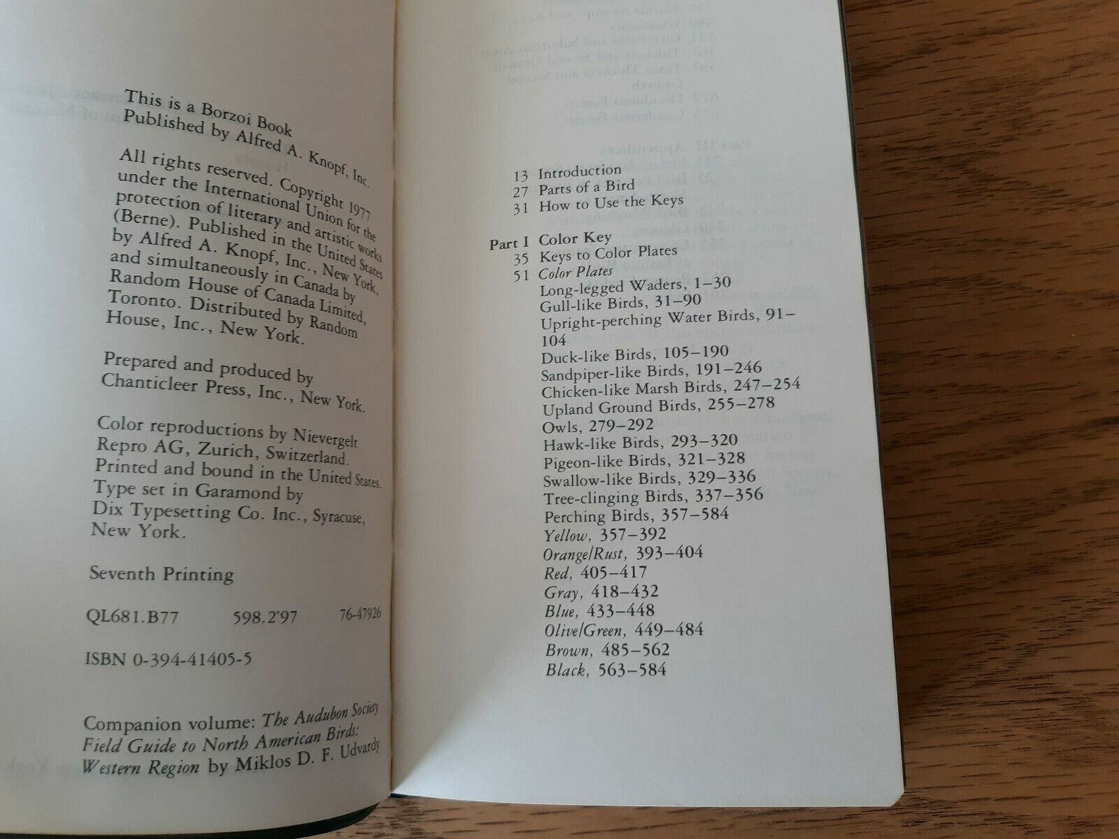 Image #8