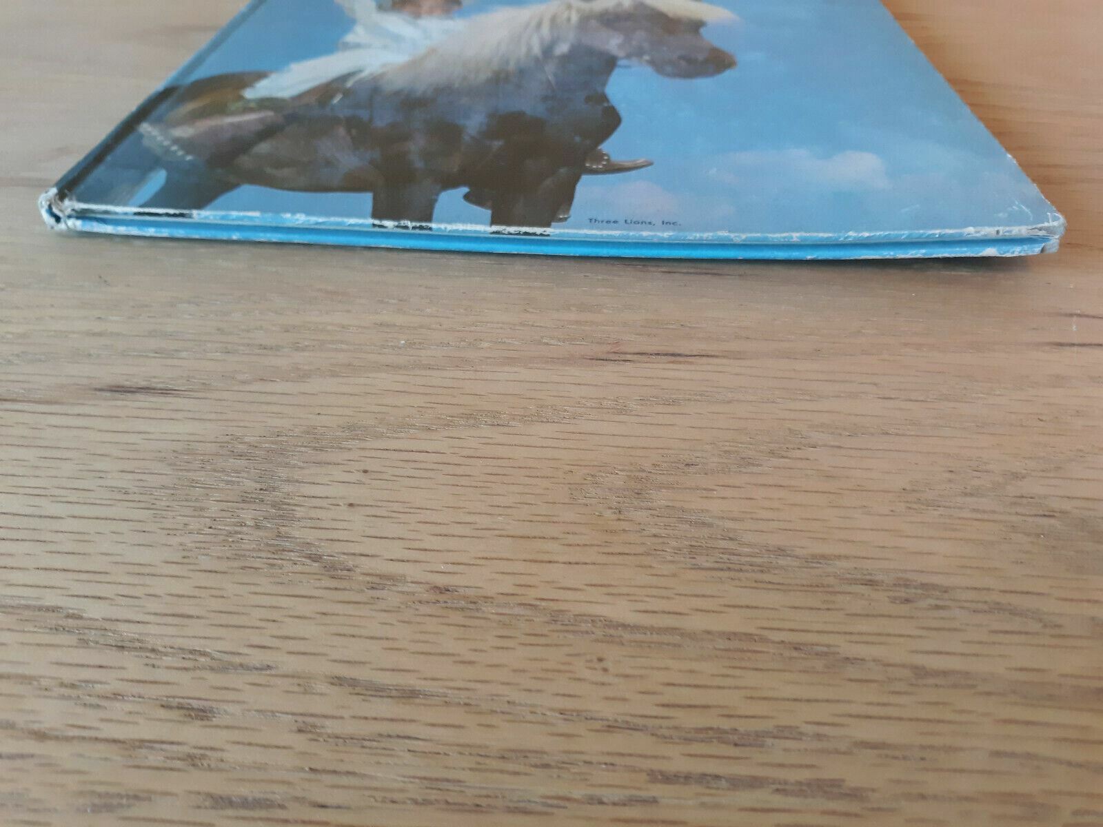 Image #2