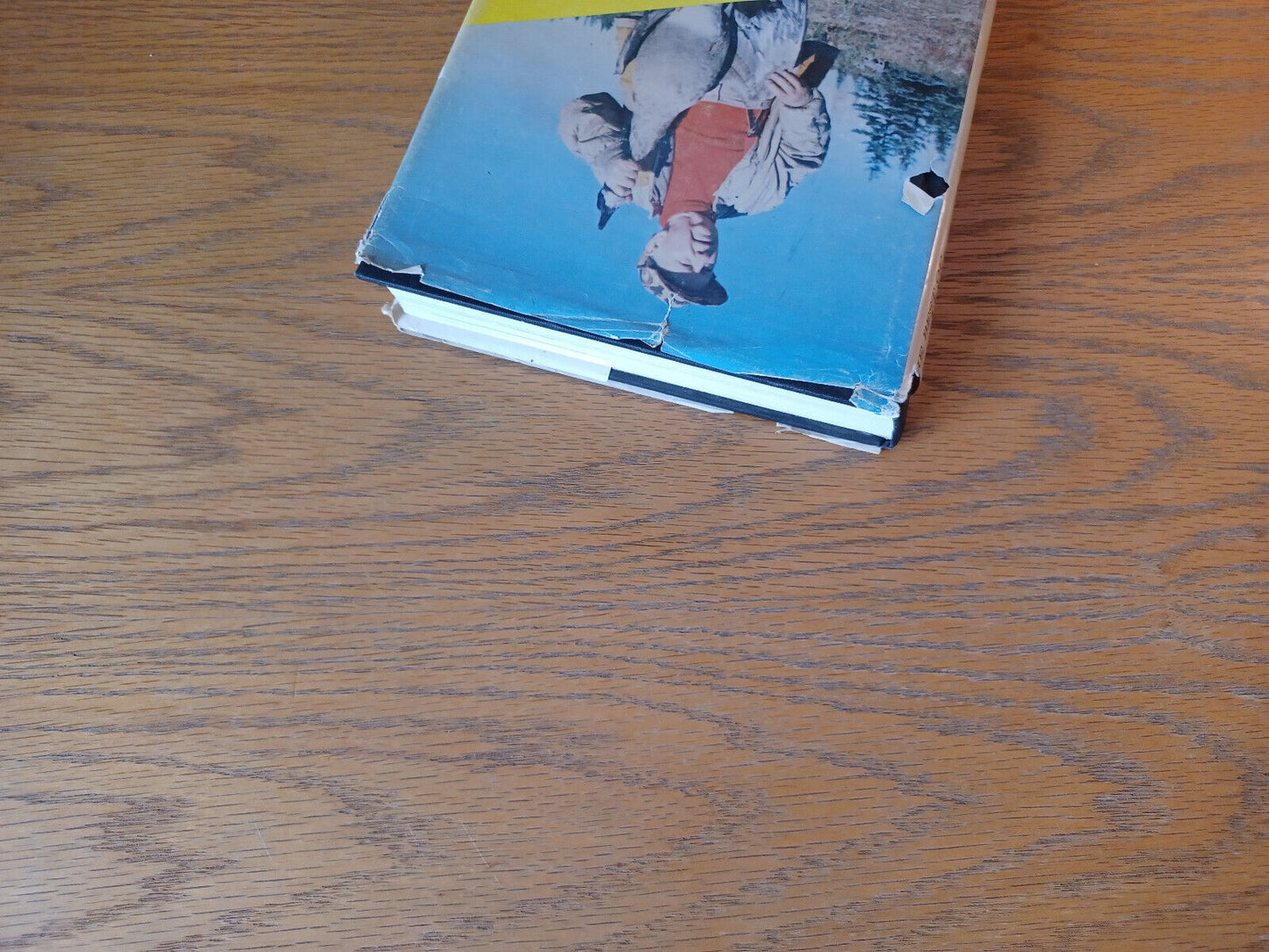 Image #4