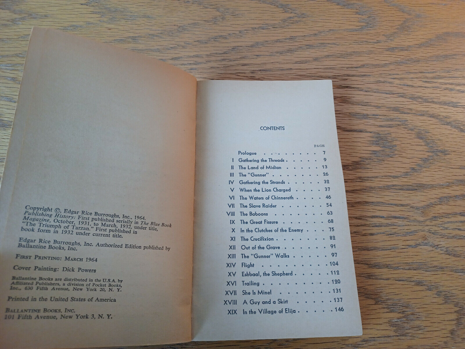 Image #8