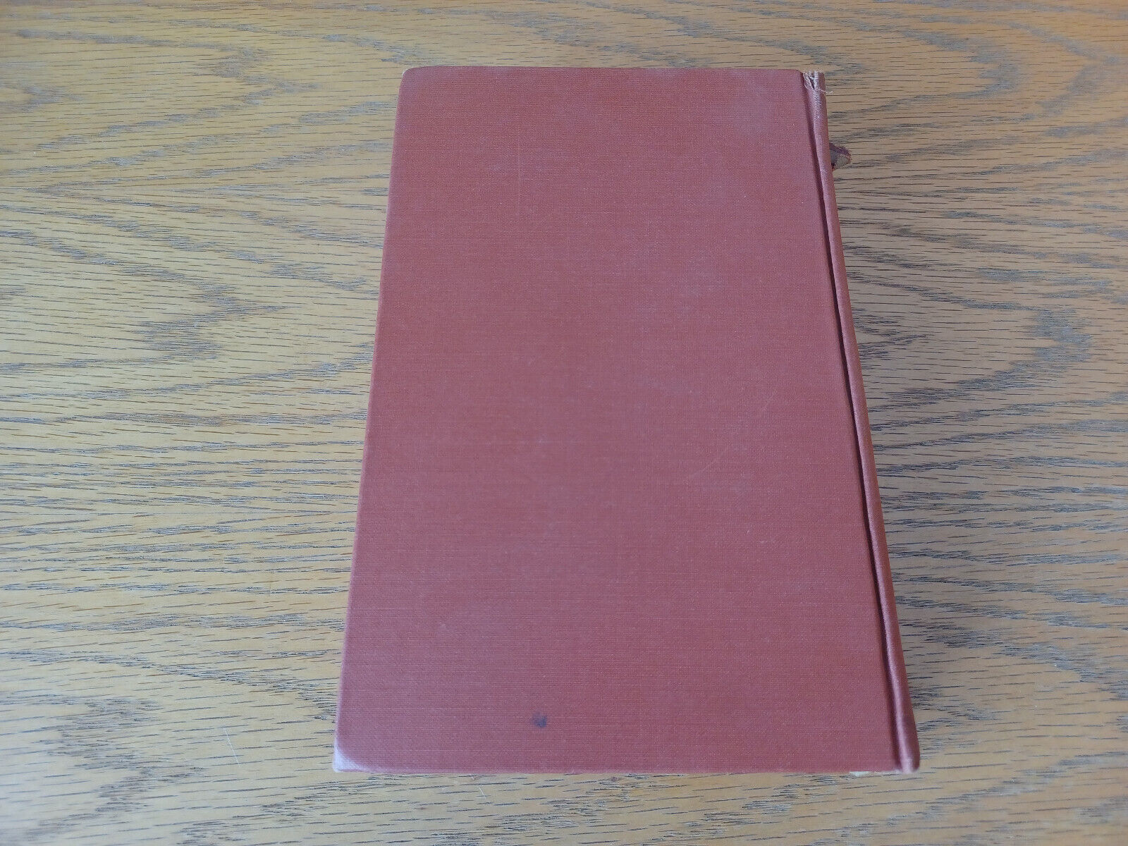 Image #6