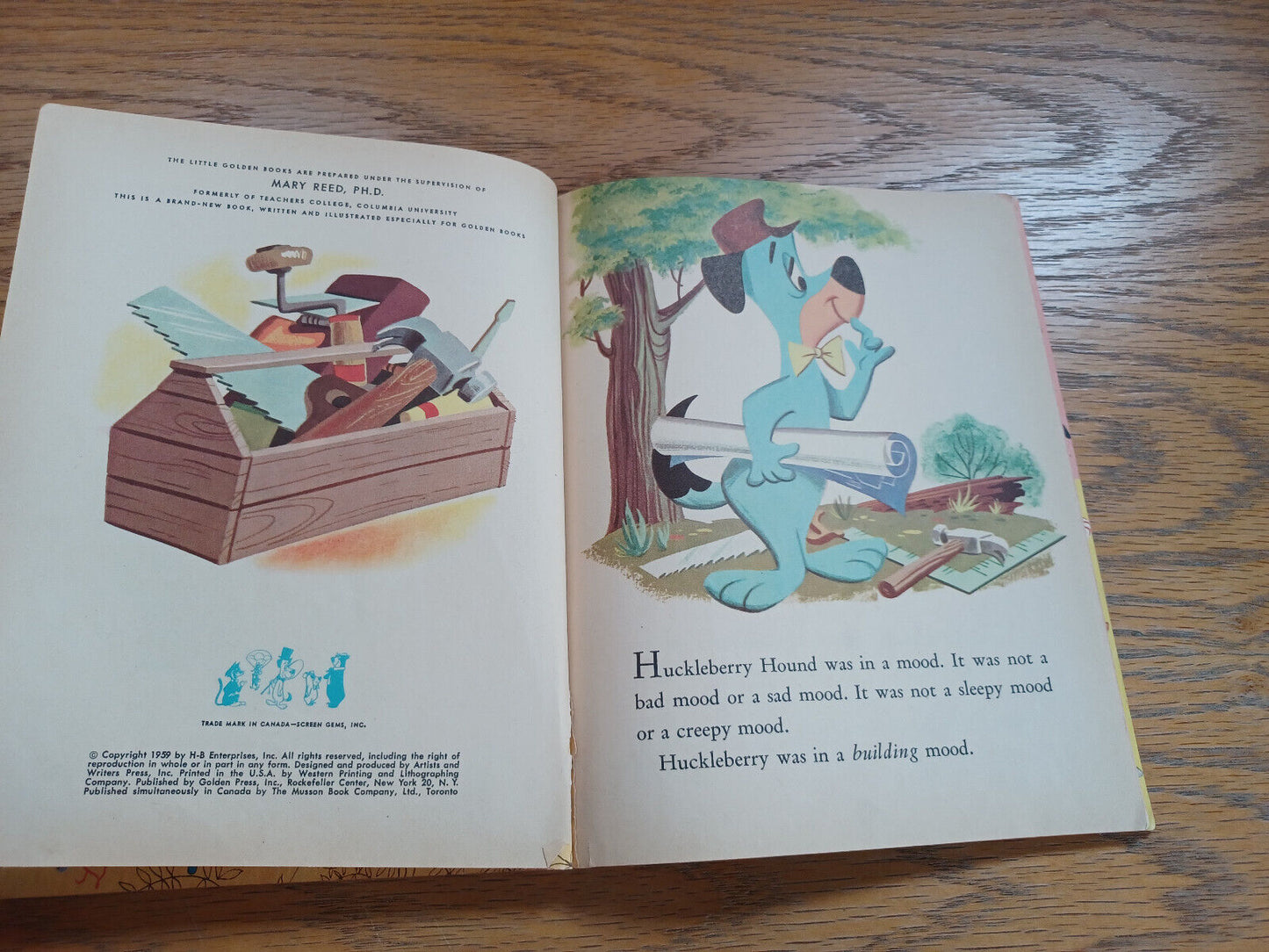 Image #8