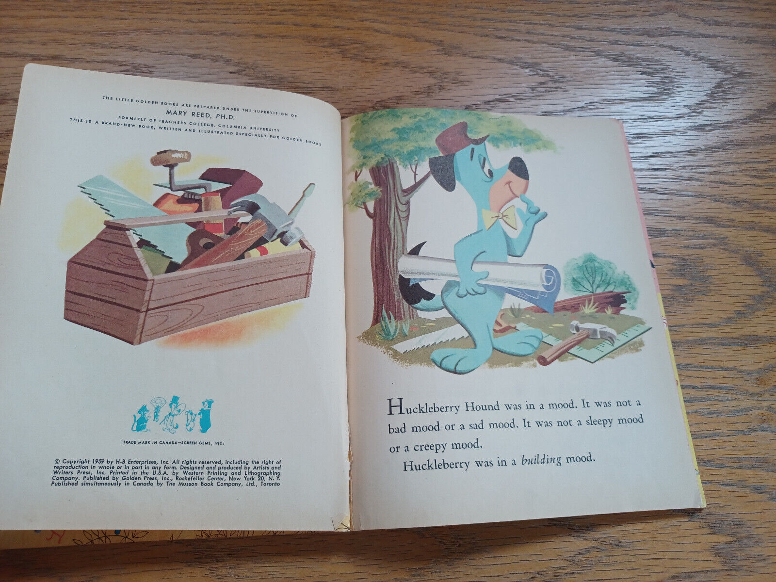 Image #8