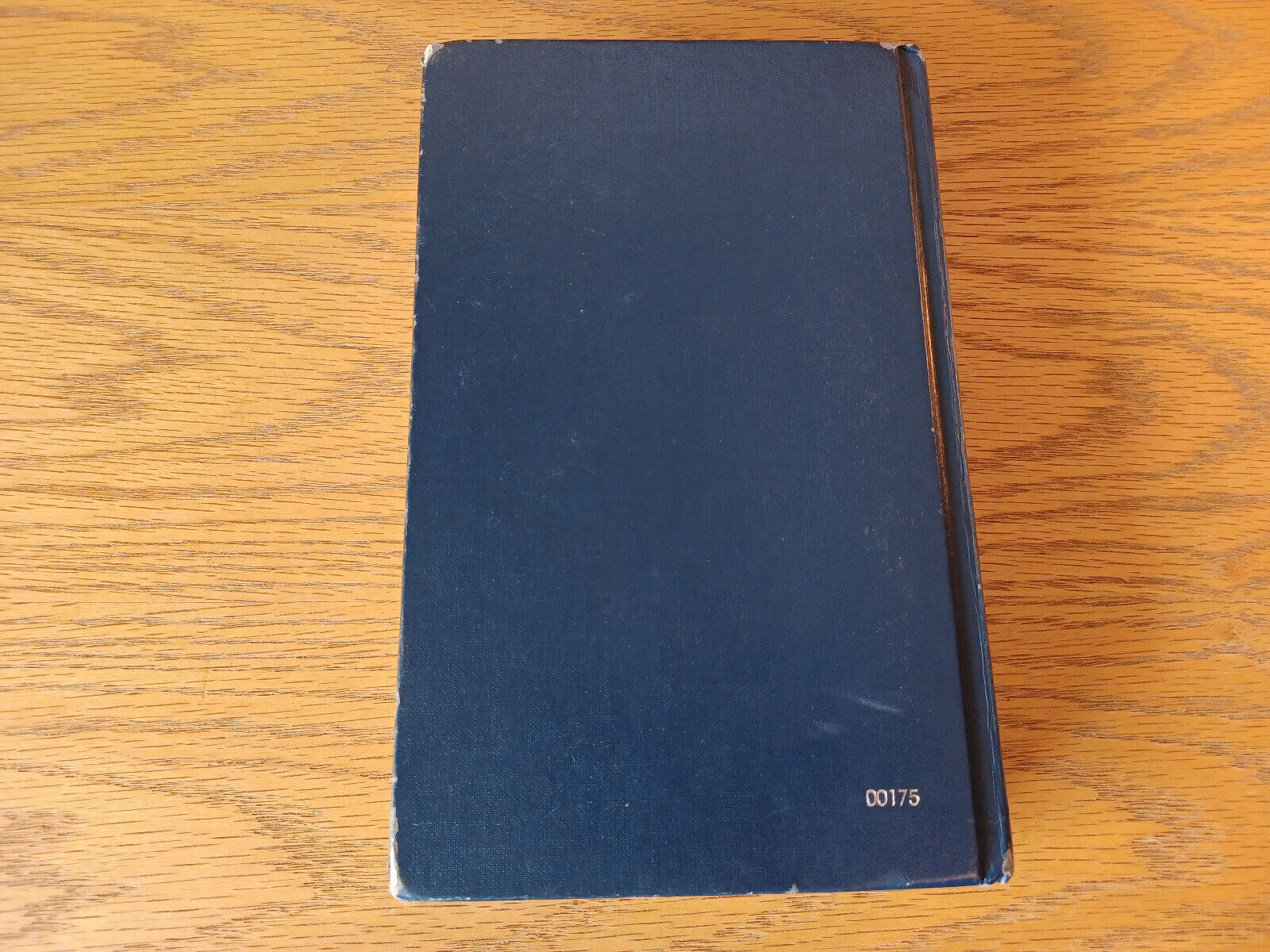 Image #6