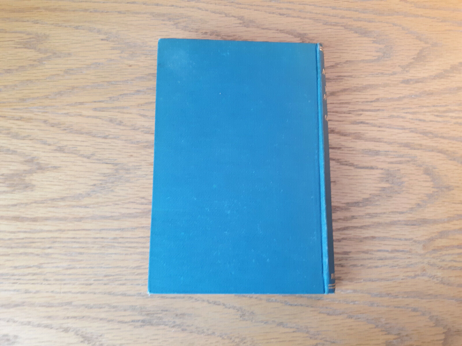 Image #6
