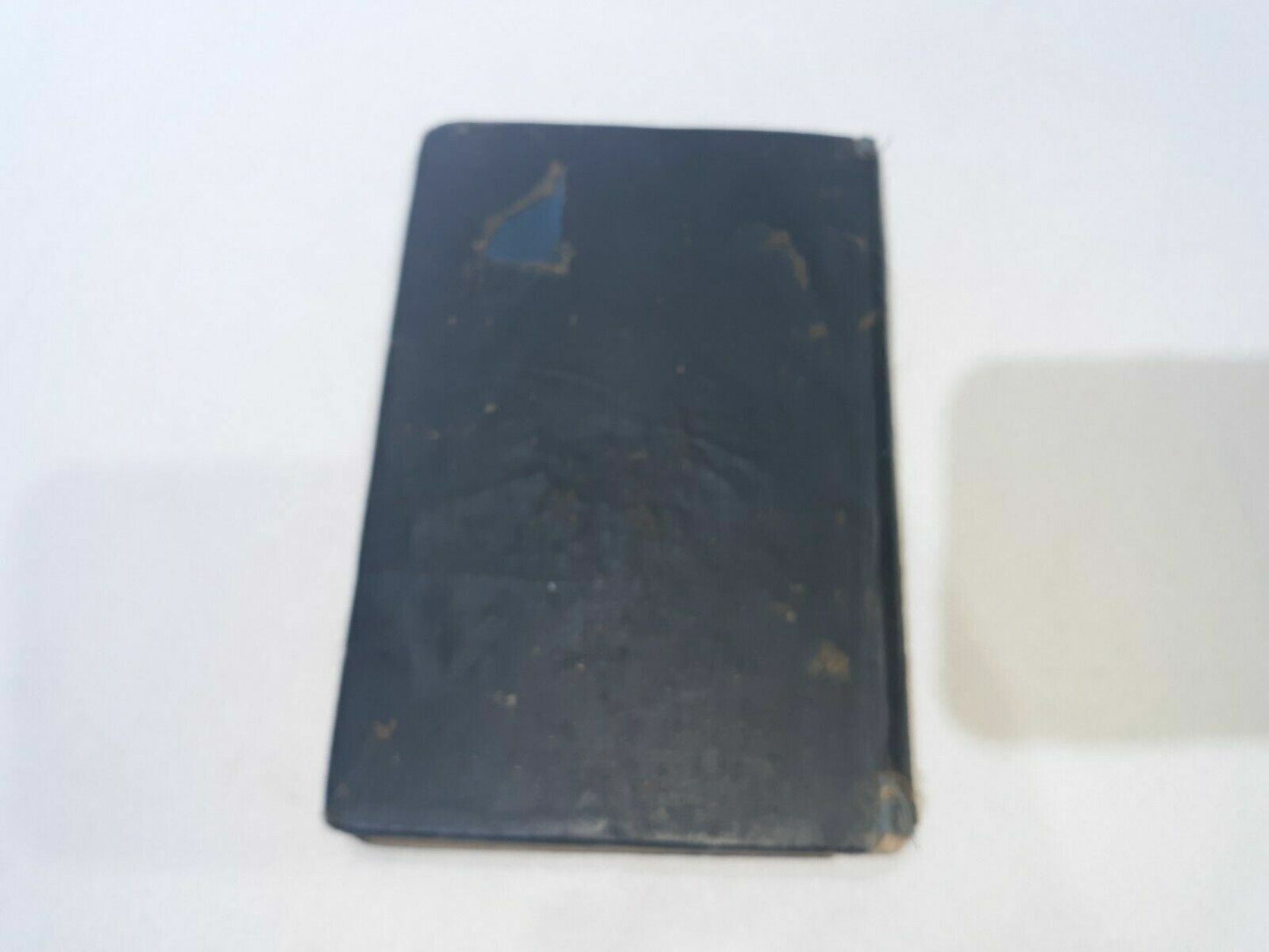 Image #5