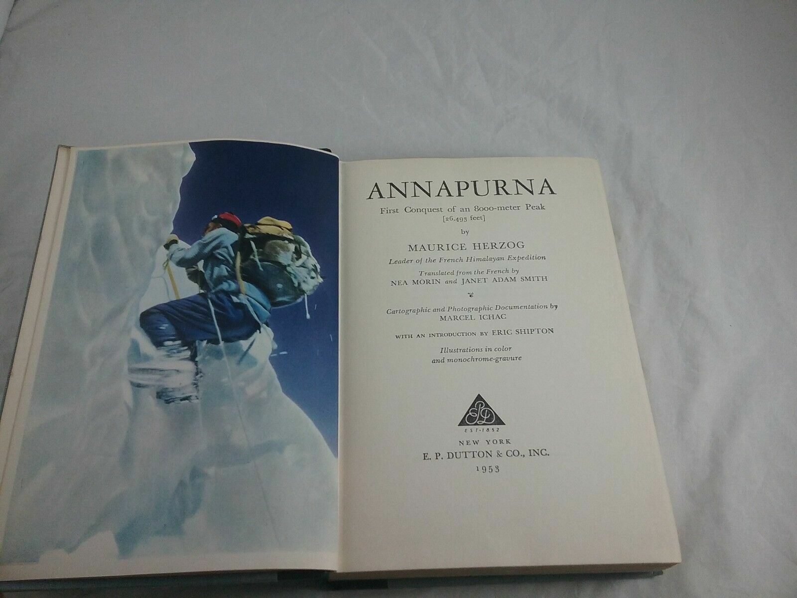 Image #5