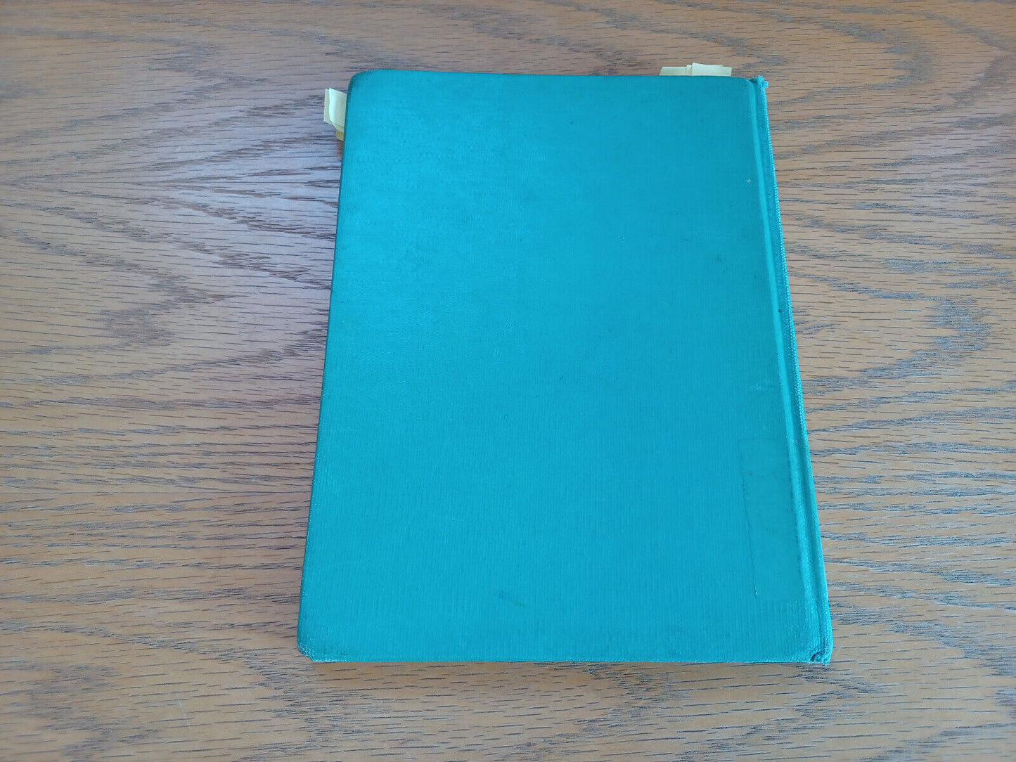 Image #6