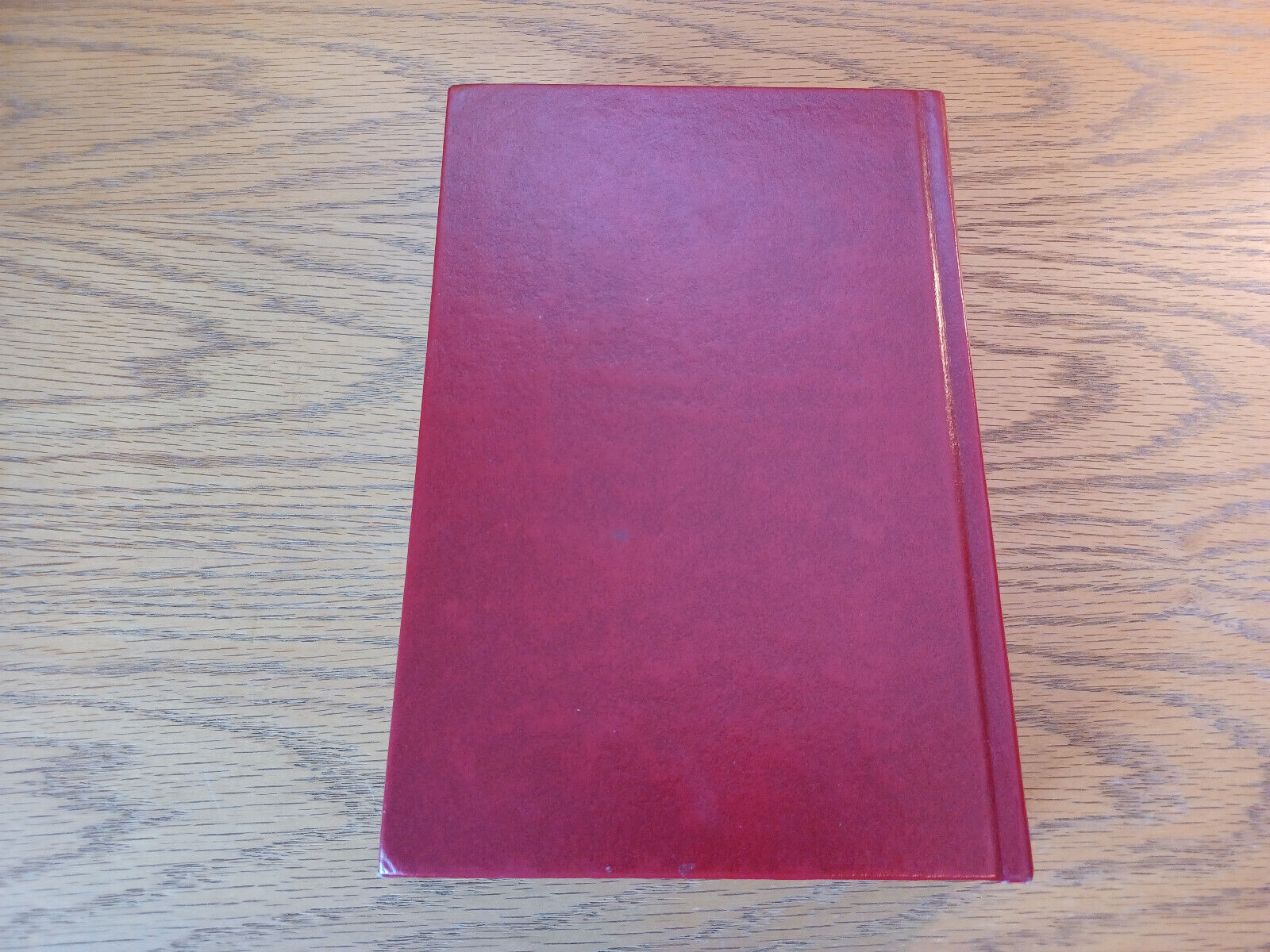 Image #6