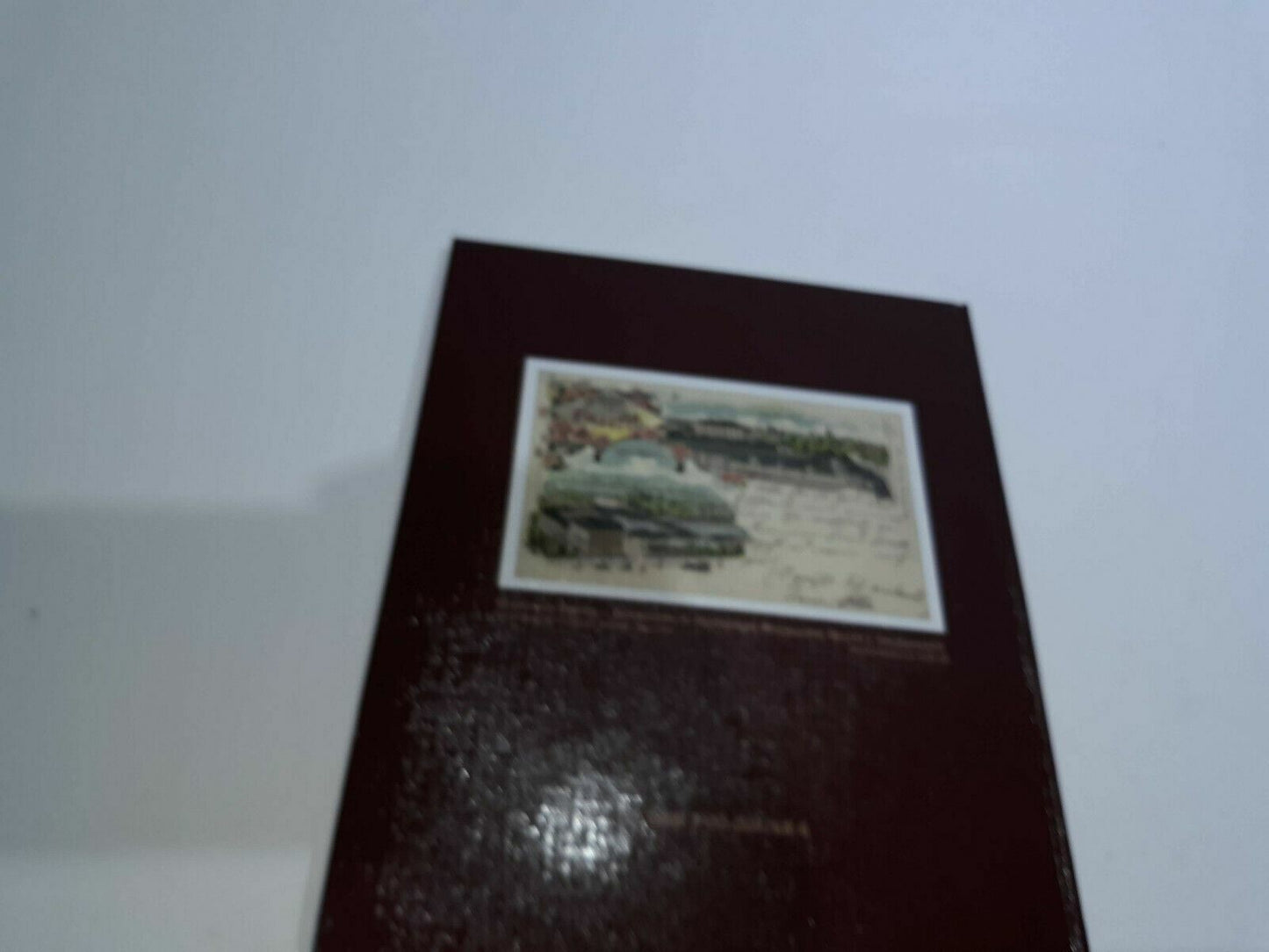 Image #8