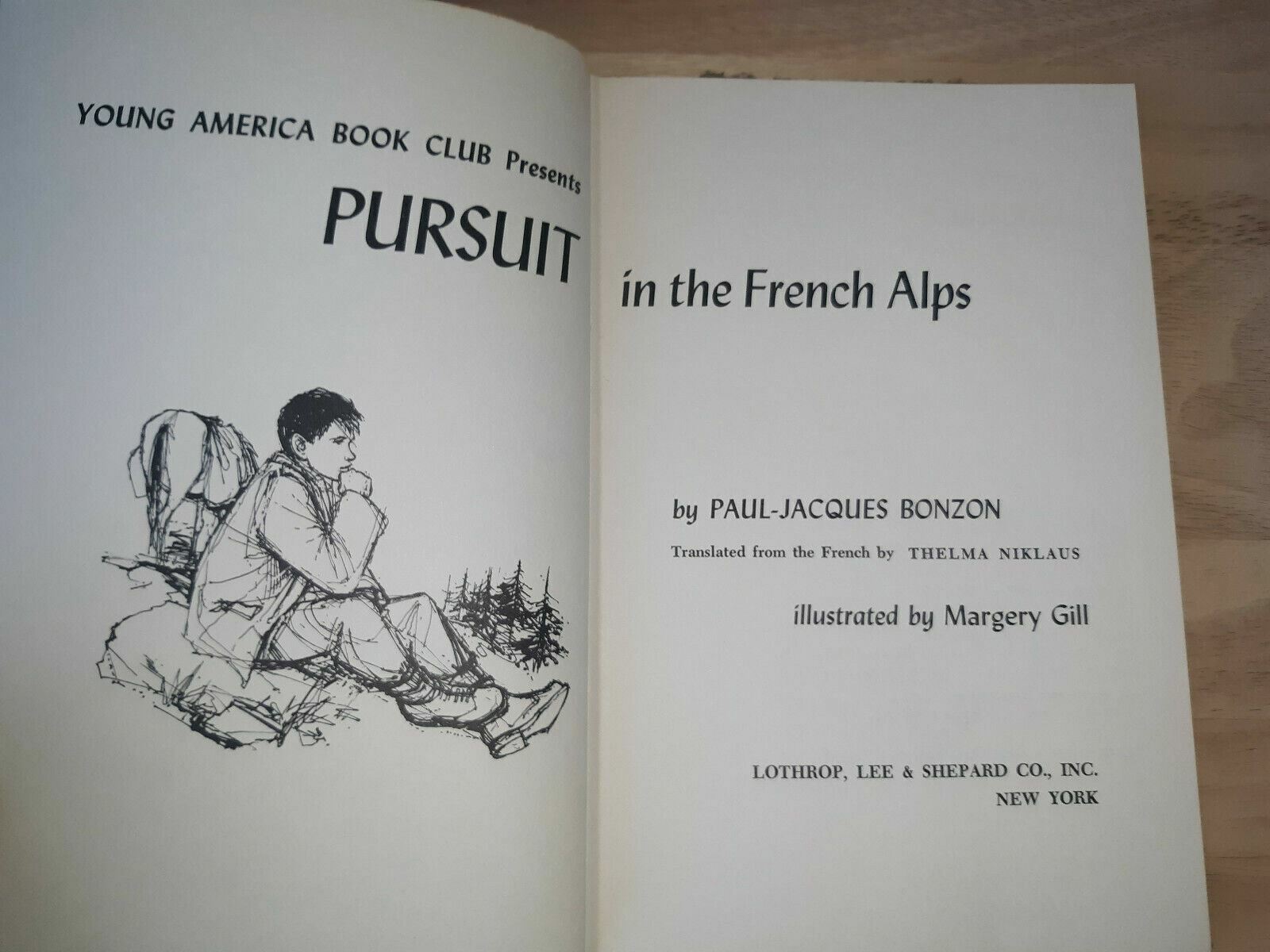 Image #7