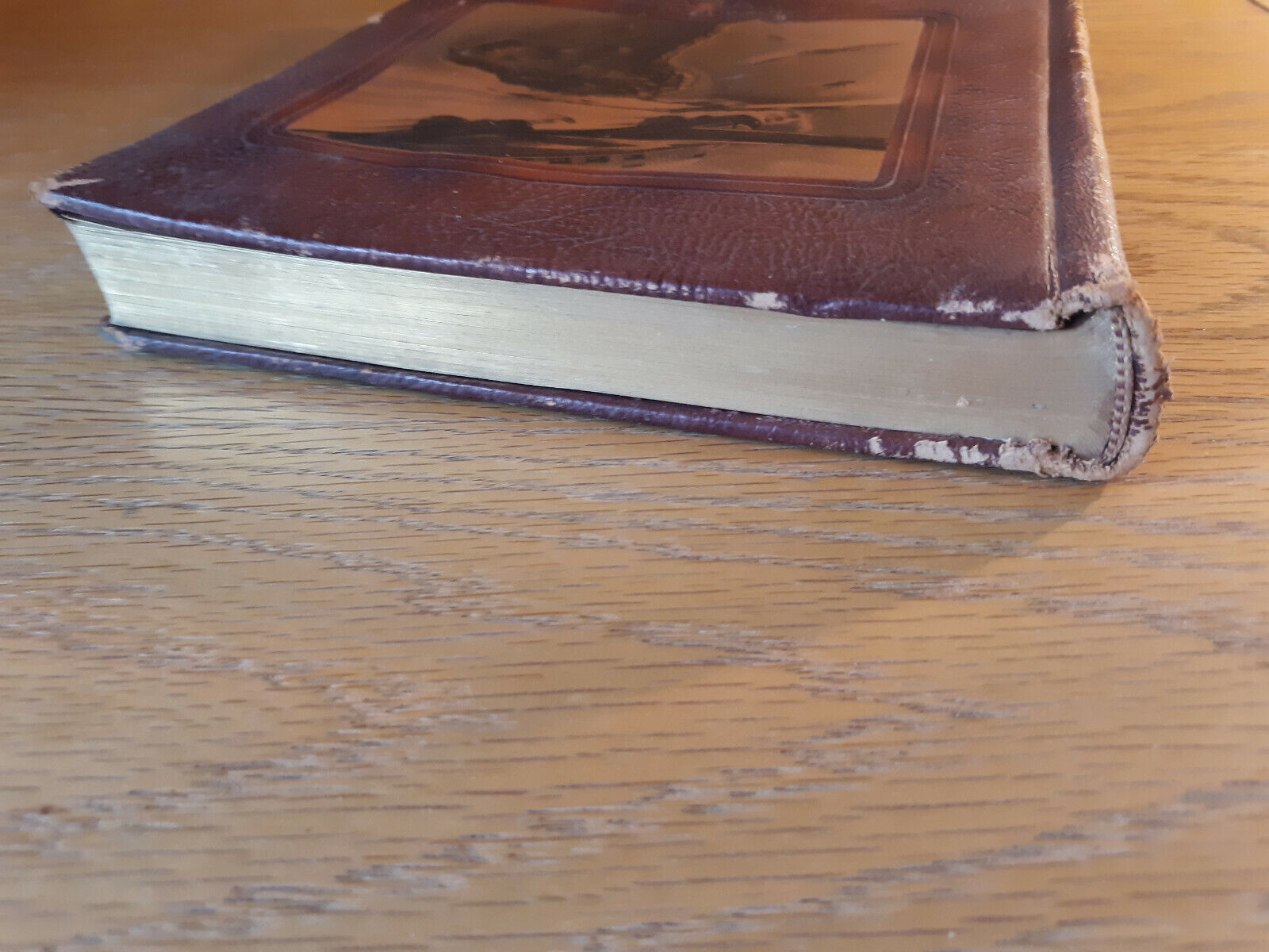 Image #4