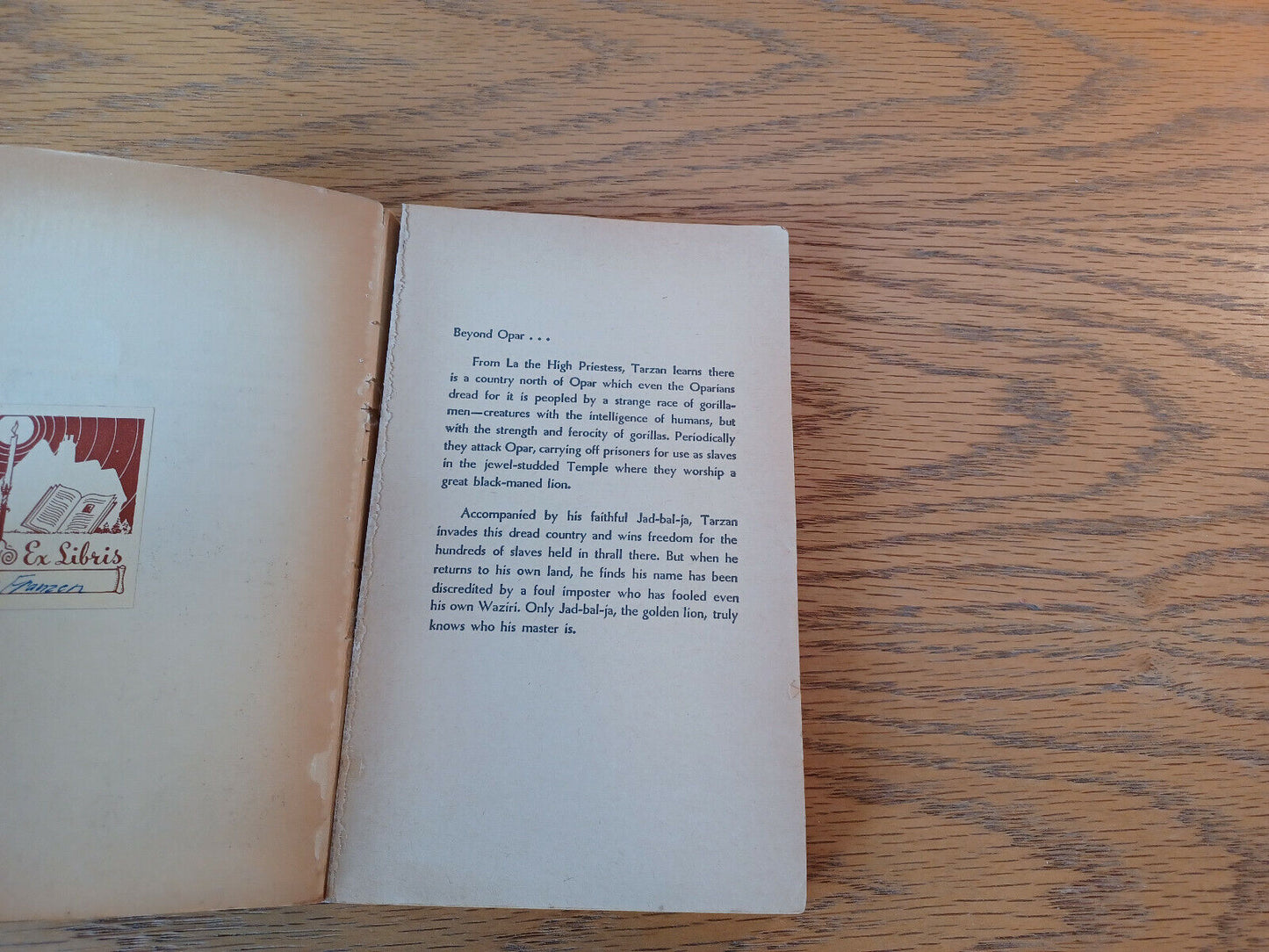 Image #7