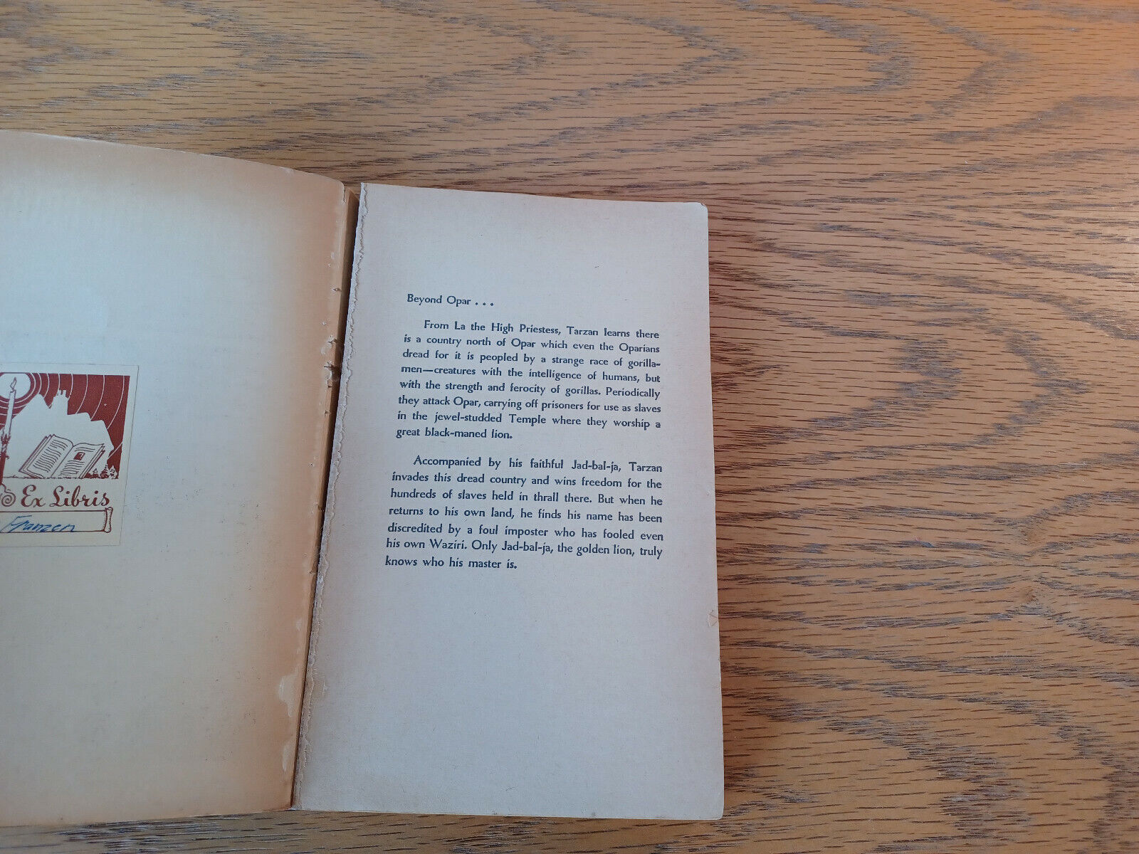 Image #7