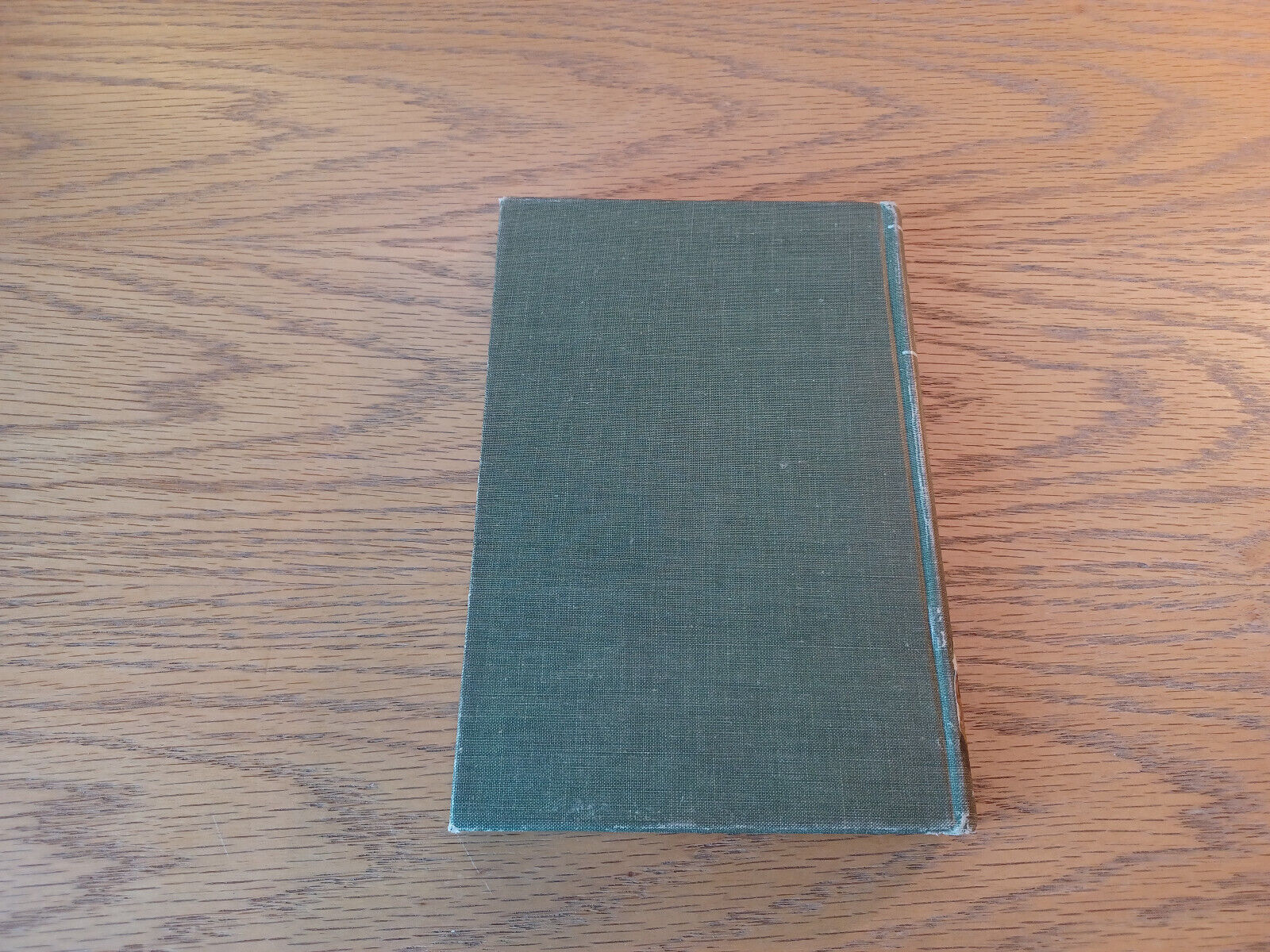 Image #6