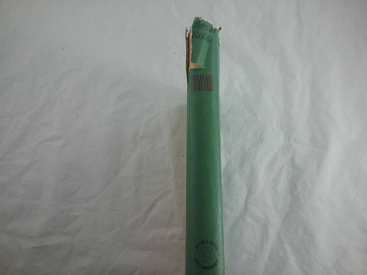 Image #3