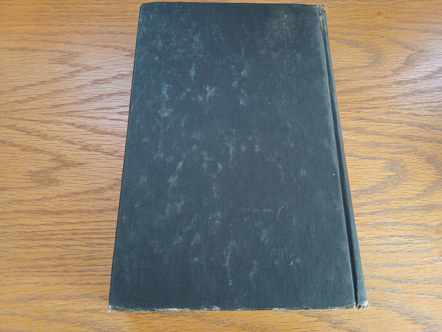 Image #6