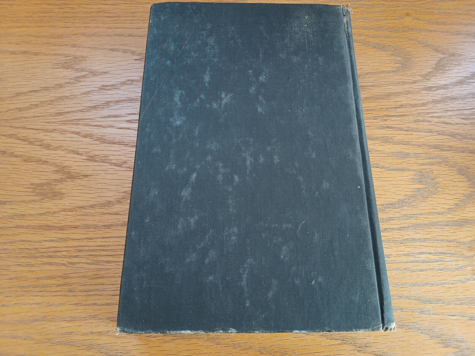 Image #6
