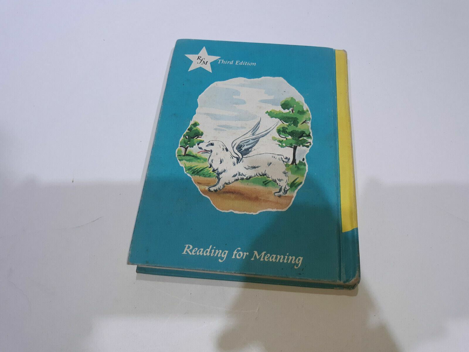 Image #6