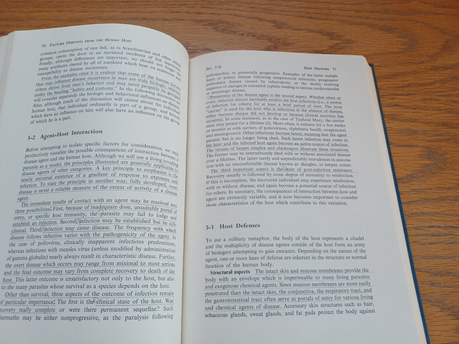 Image #12