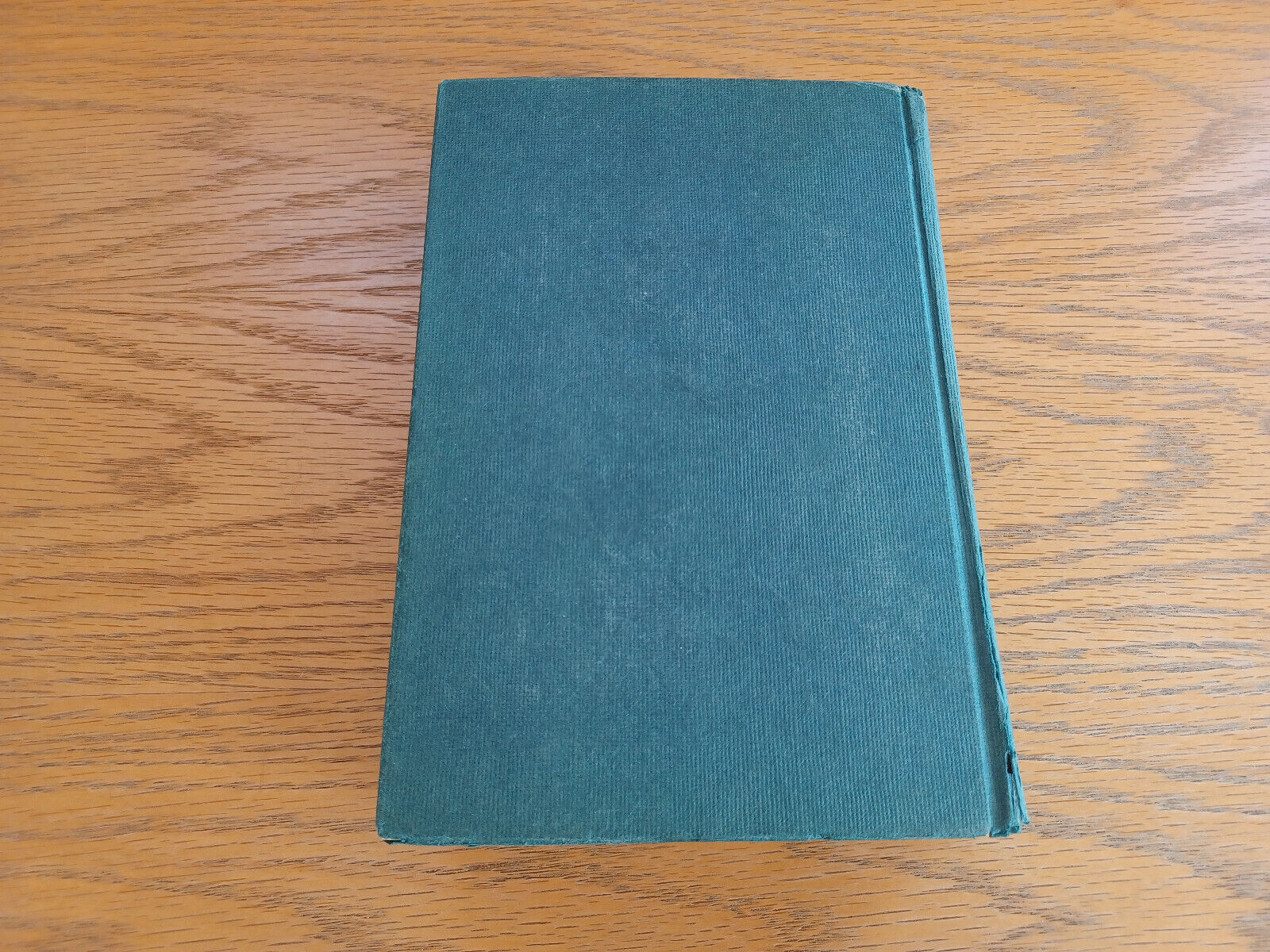 Image #6