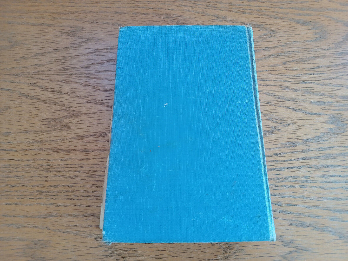 Image #6