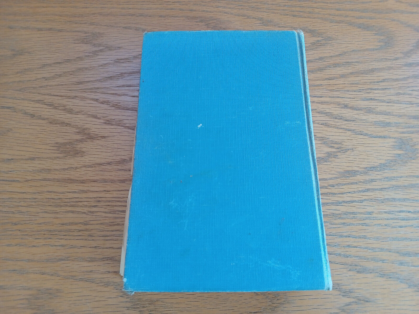 Image #6