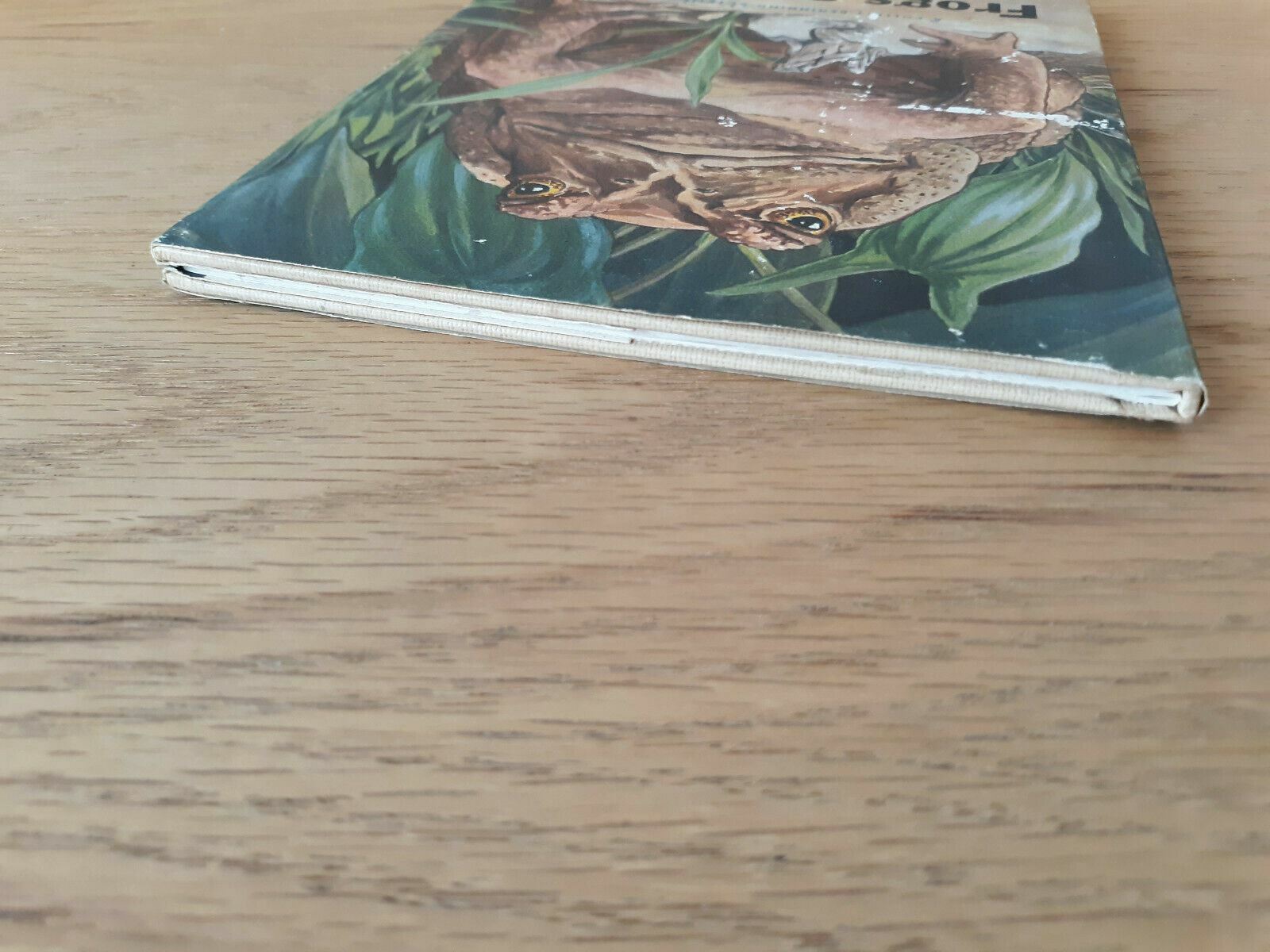 Image #4