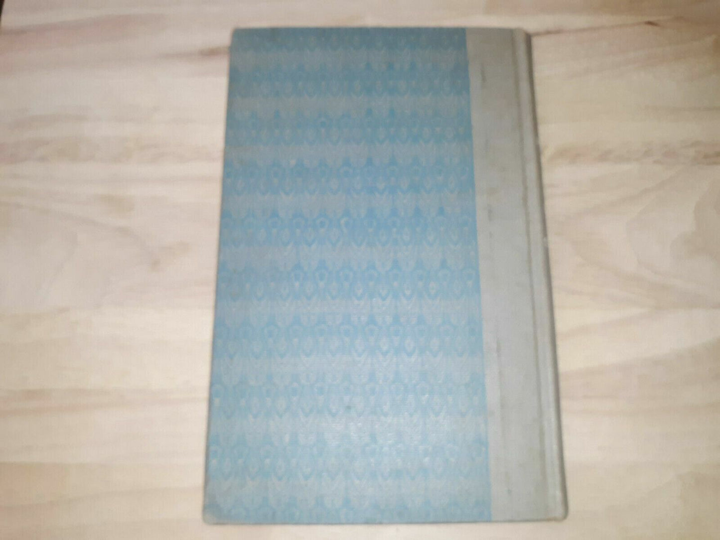 Image #6