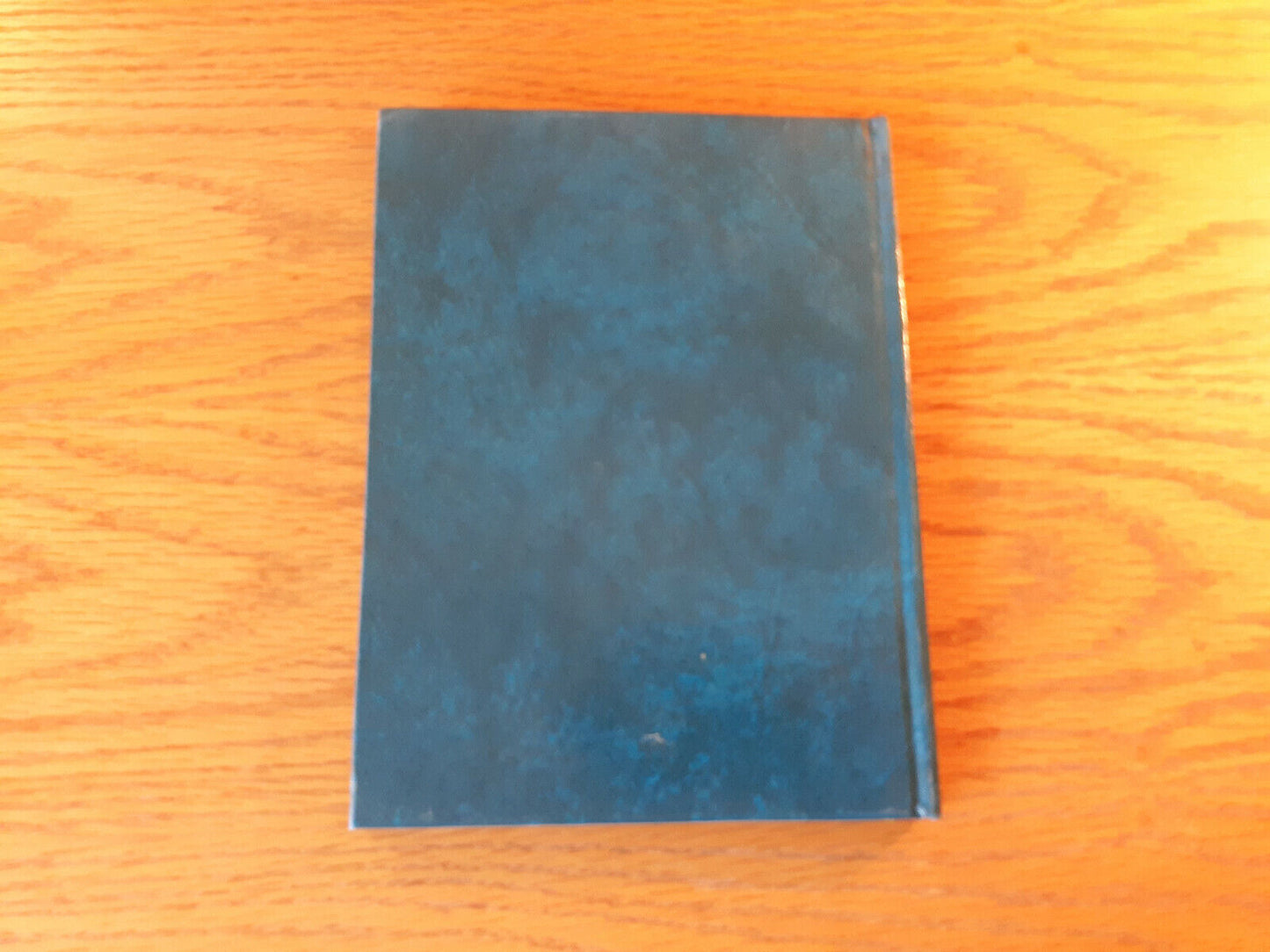 Image #6