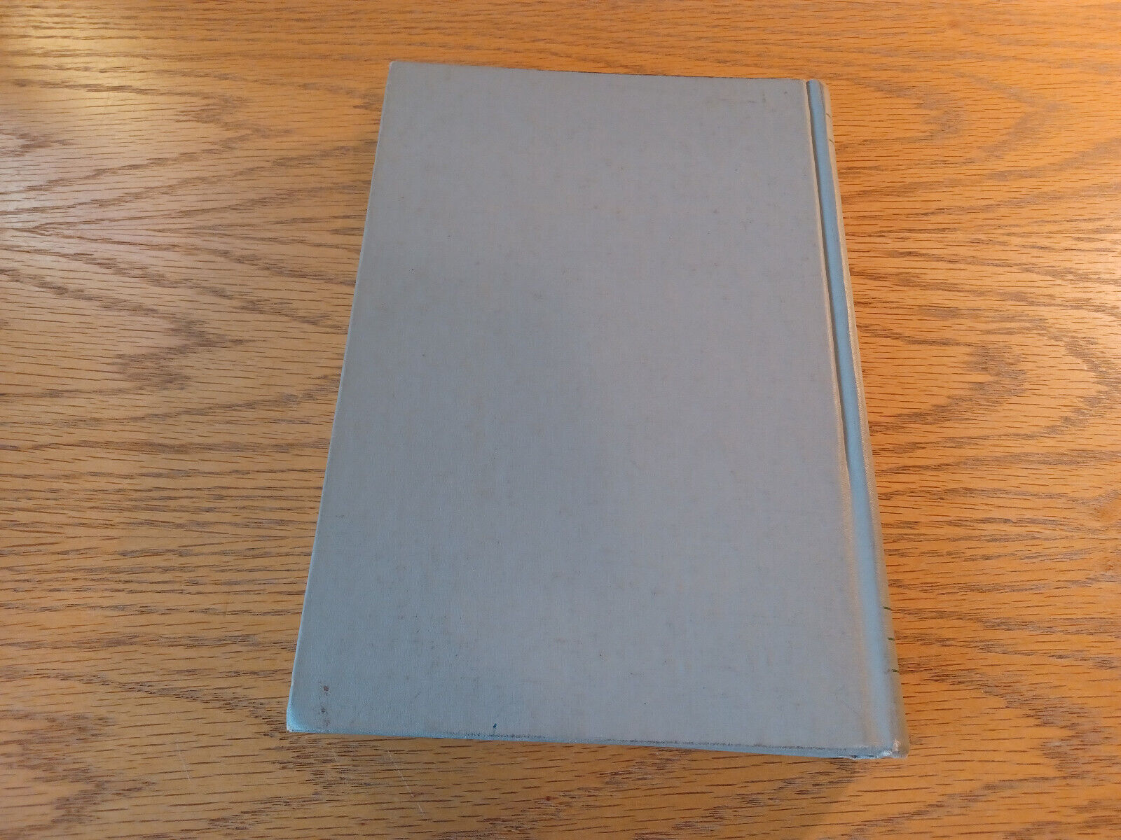 Image #6