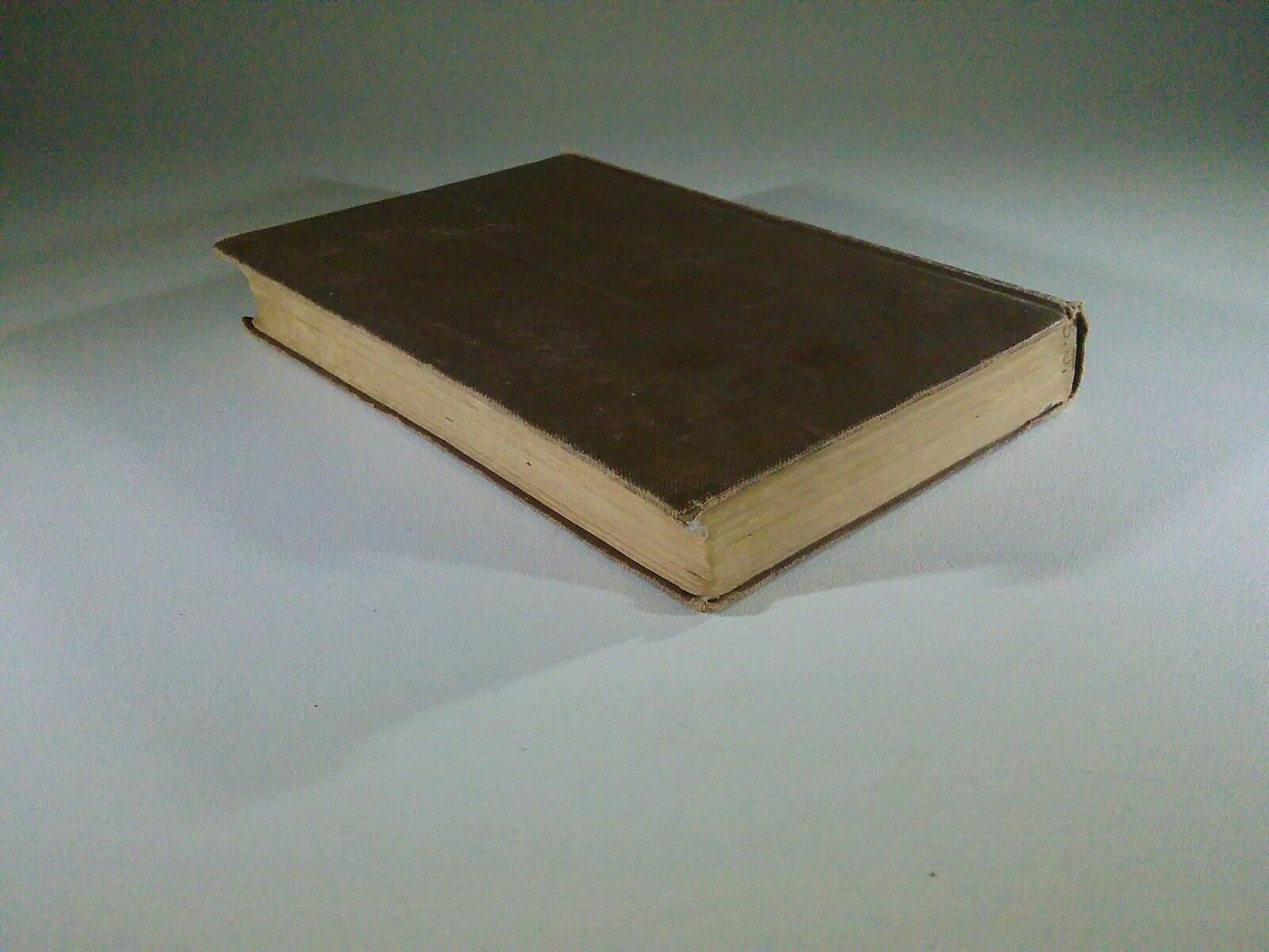 Image #5