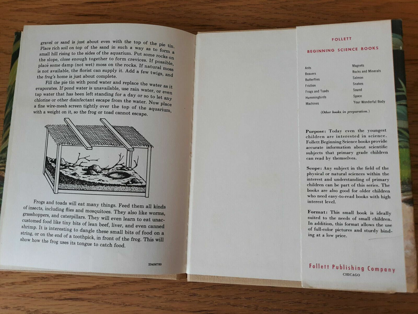 Image #8