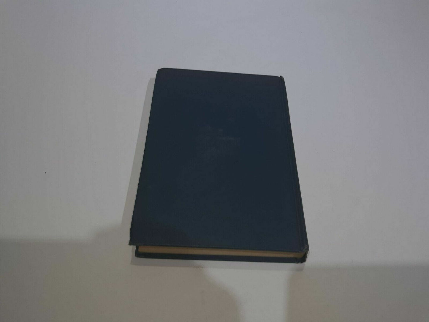 Image #7