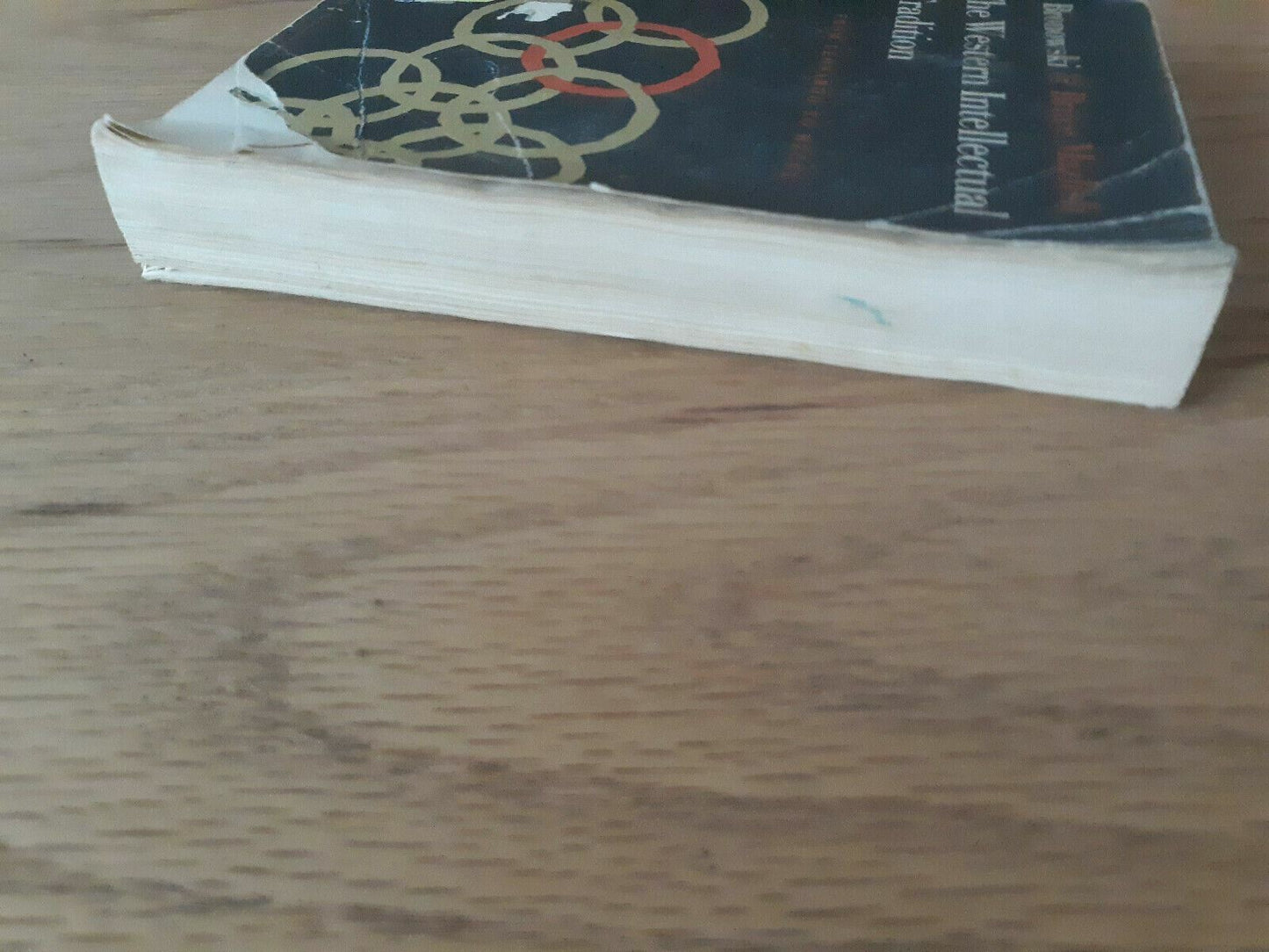 Image #3