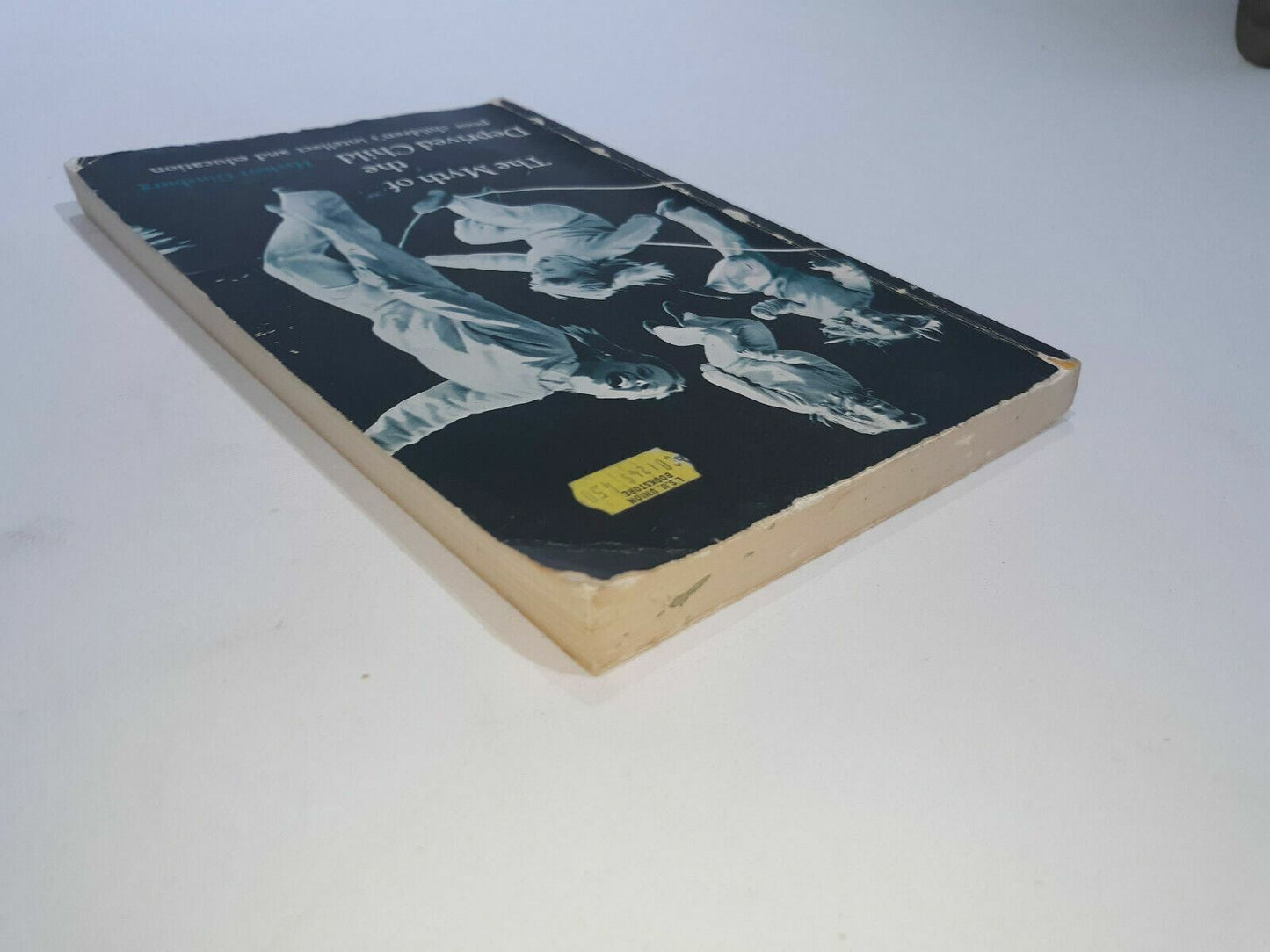 Image #3