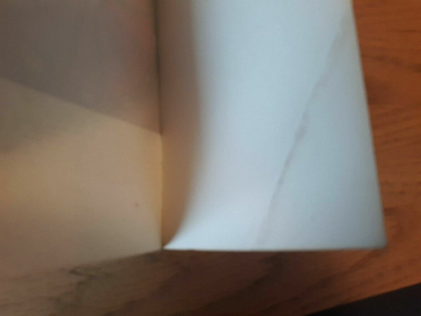 Image #11
