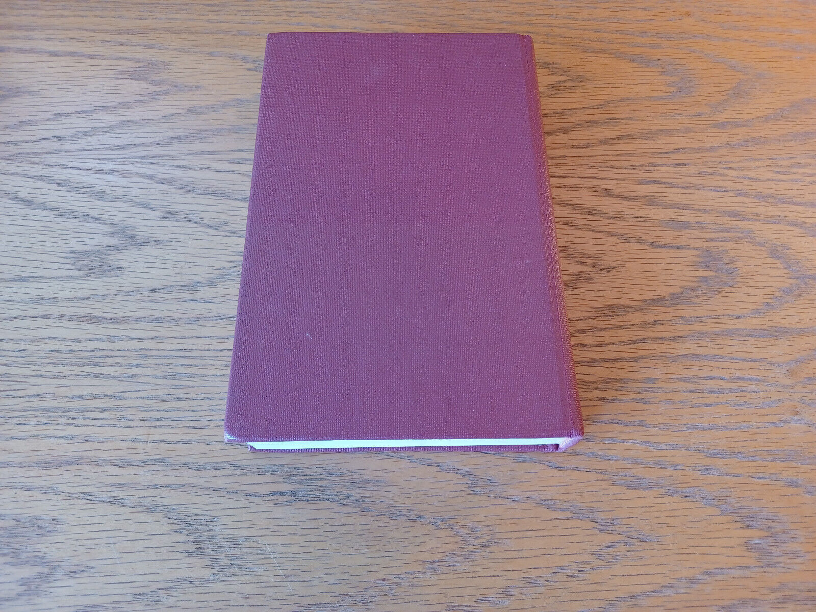 Image #6