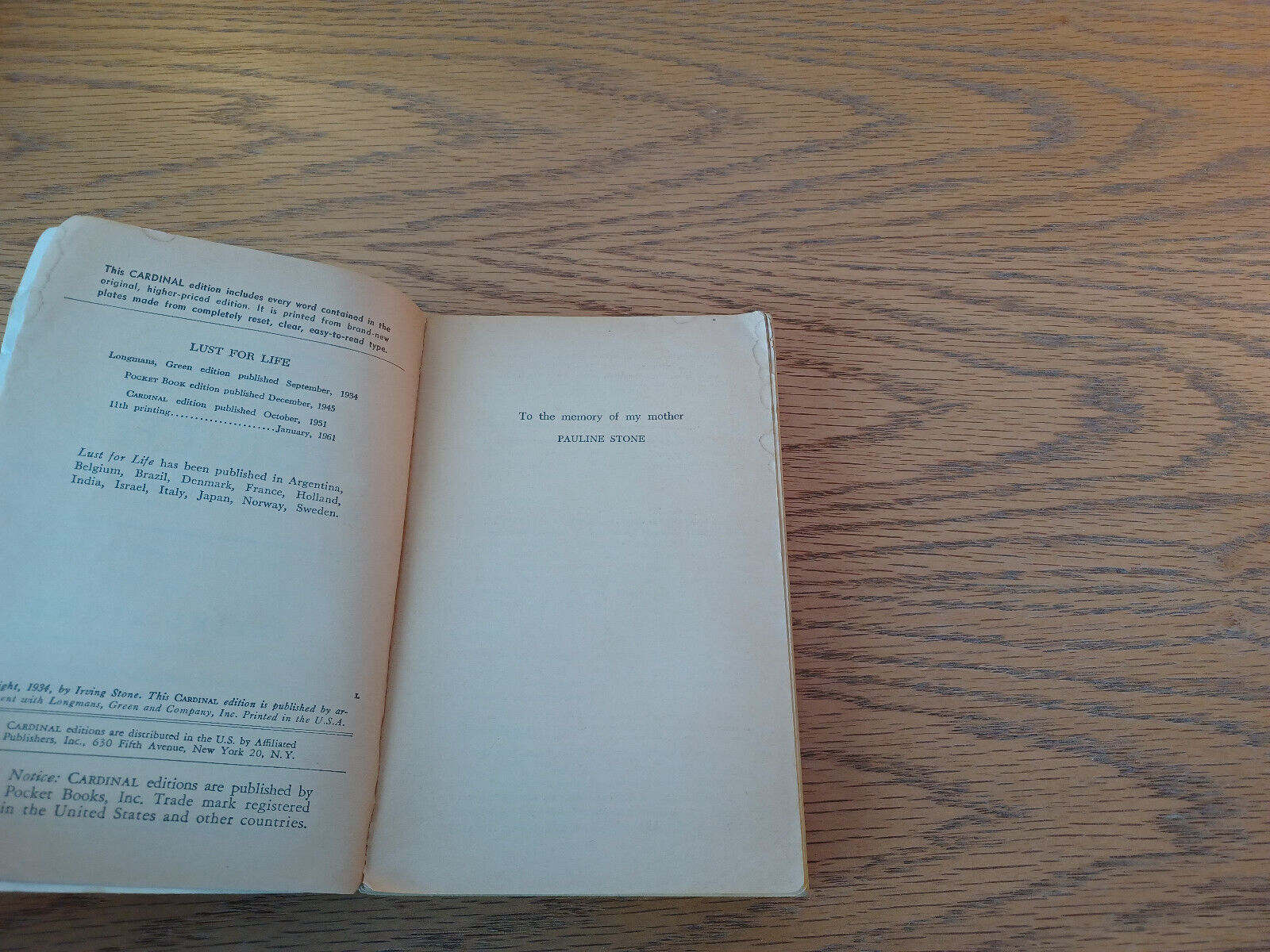 Image #8