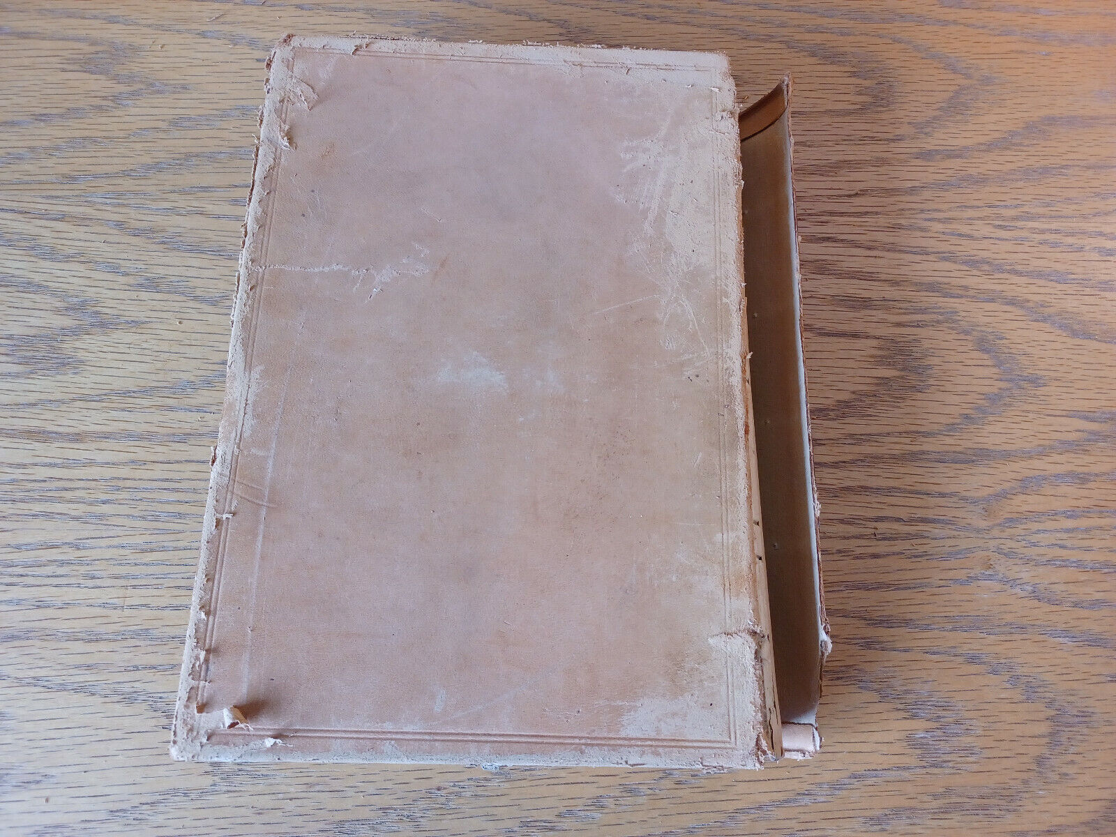 Image #6