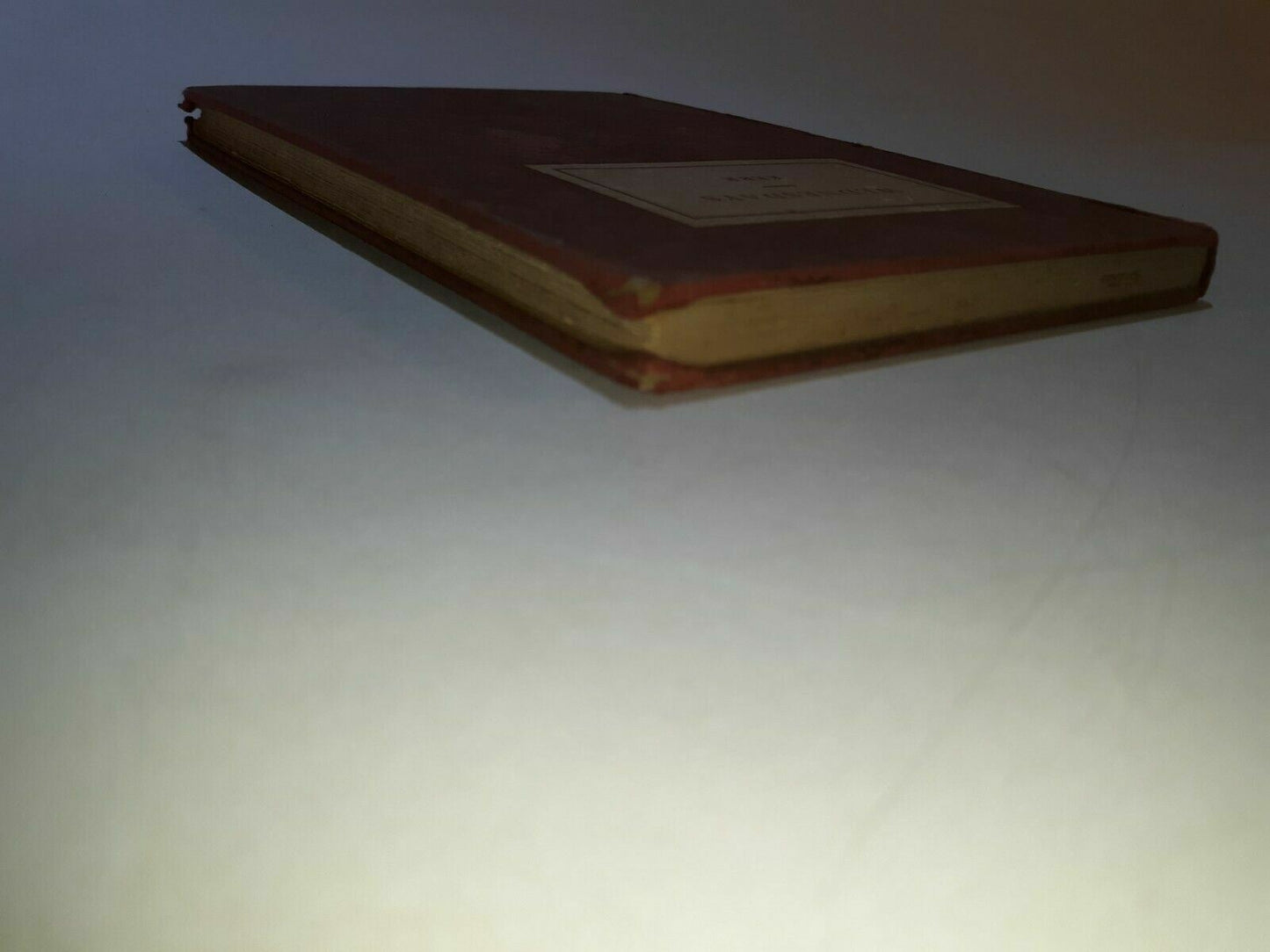 Image #3