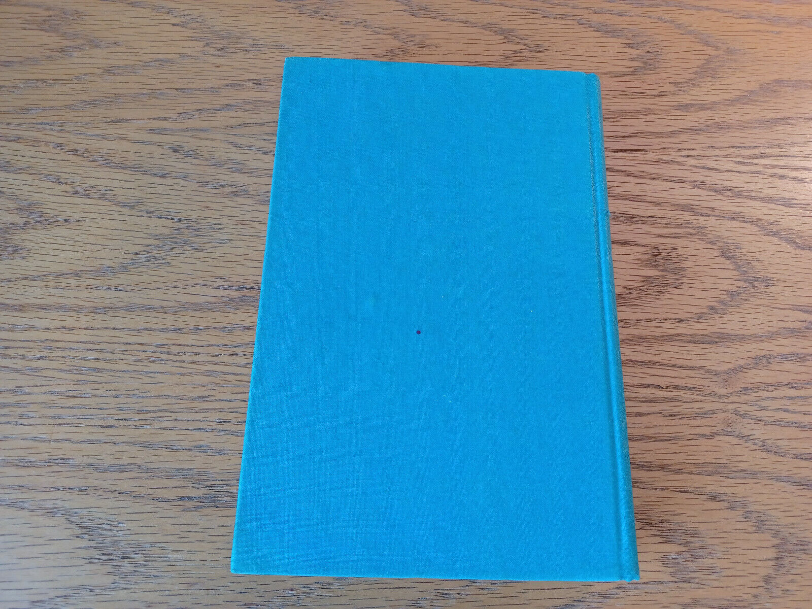 Image #6