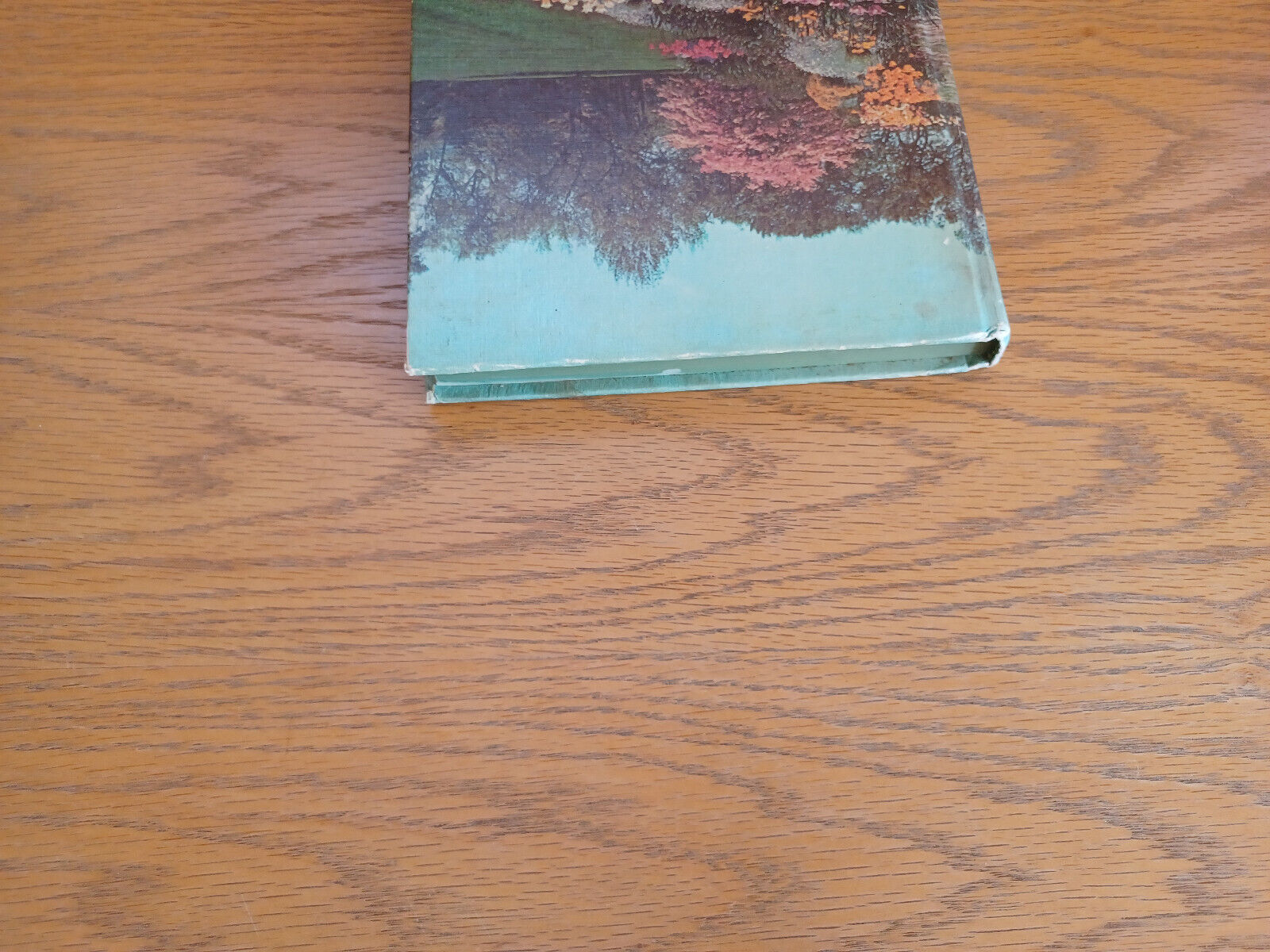 Image #4